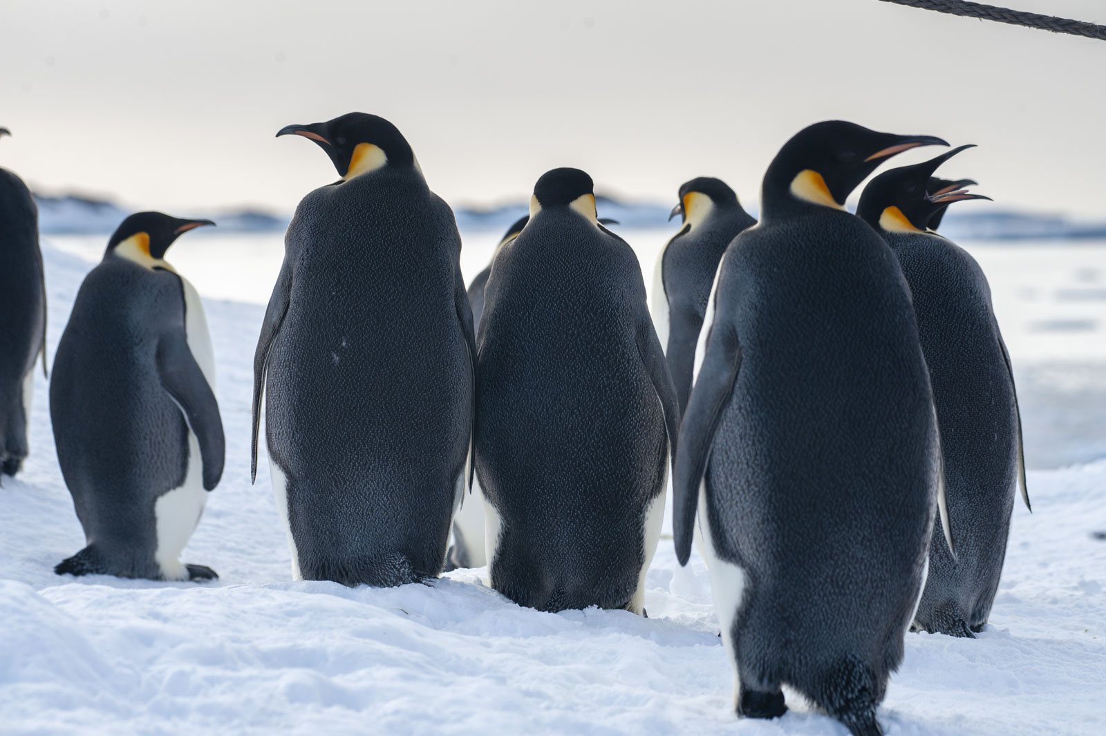 GYT 20221117 105715  DSC7918