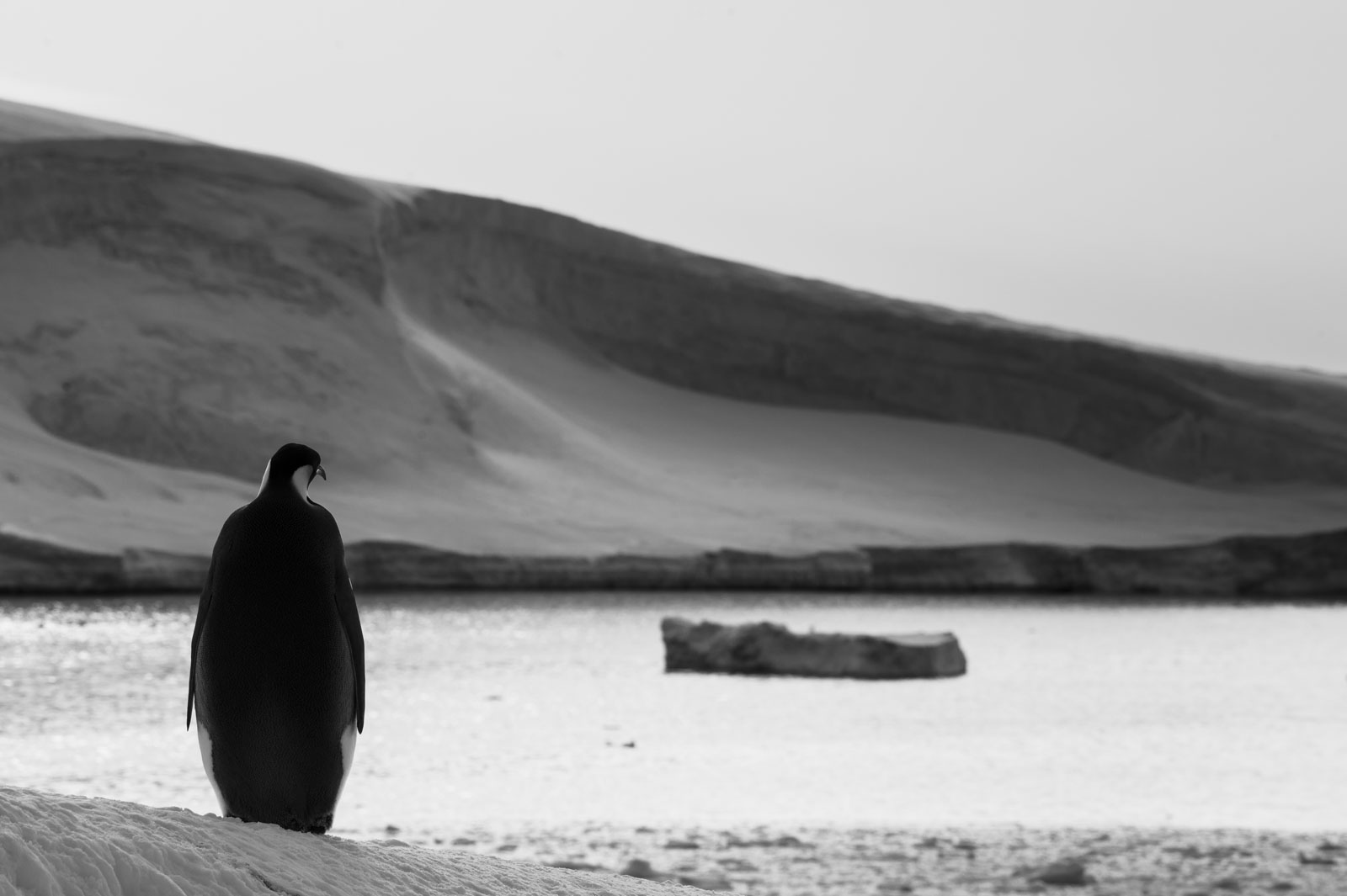 GYT 20221117 105742  DSC7919