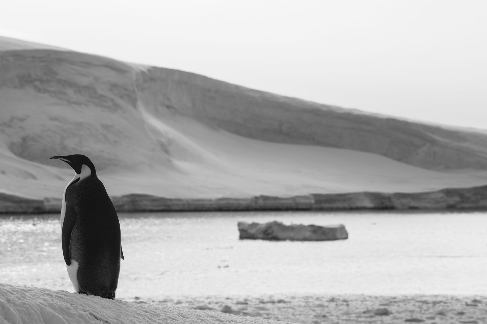 GYT 20221117 105745  DSC7920 2