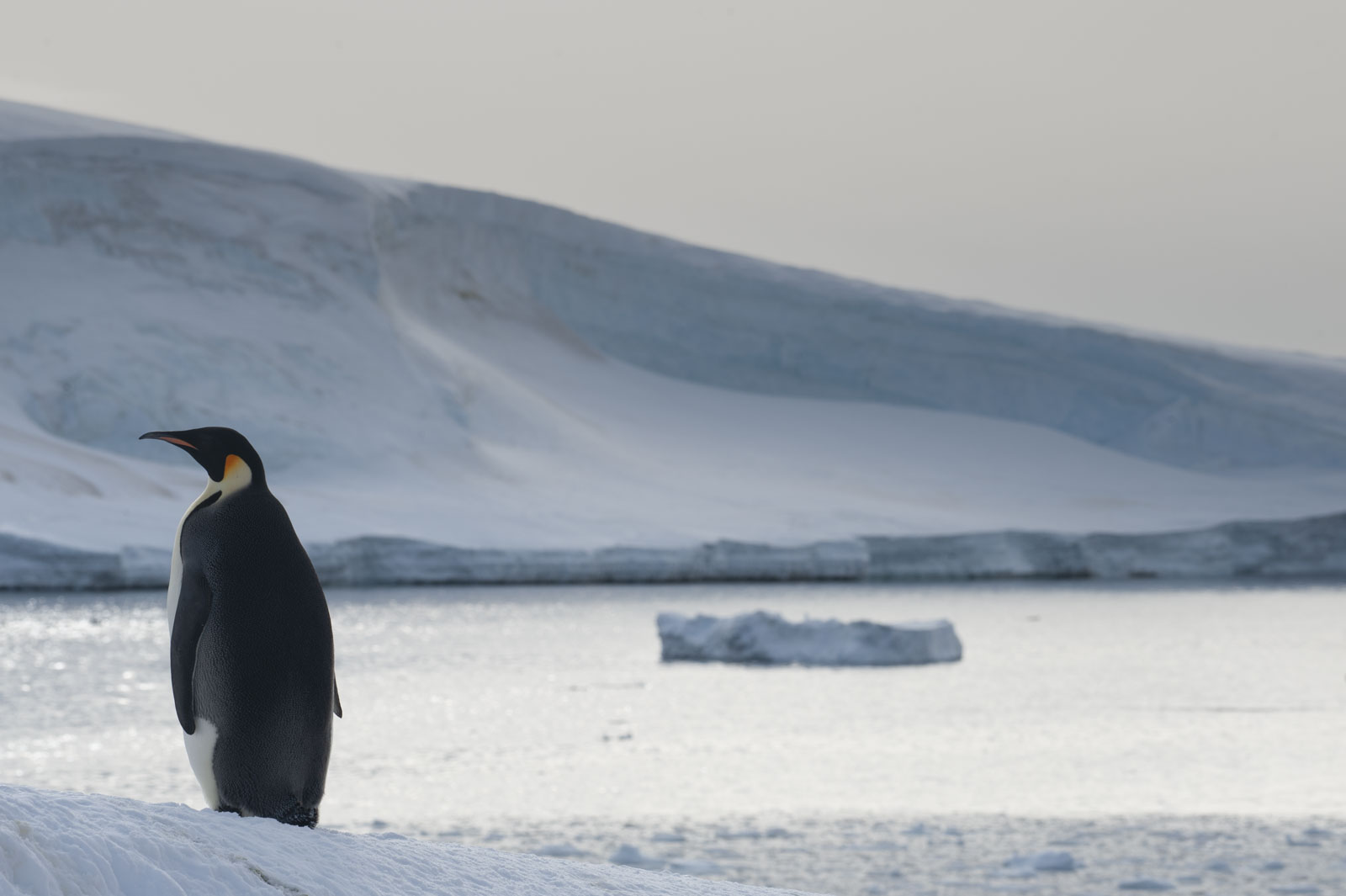 GYT 20221117 105745  DSC7920