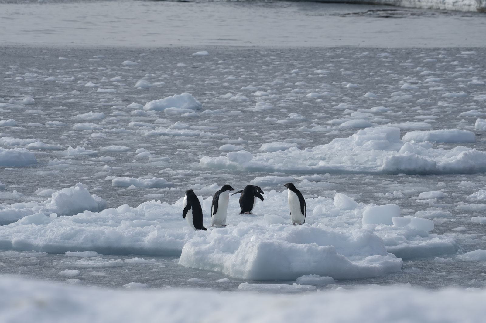 GYT 20221117 105838  DSC7921