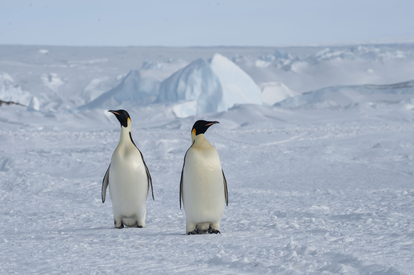 GYT 20221117 110008  DSC7924