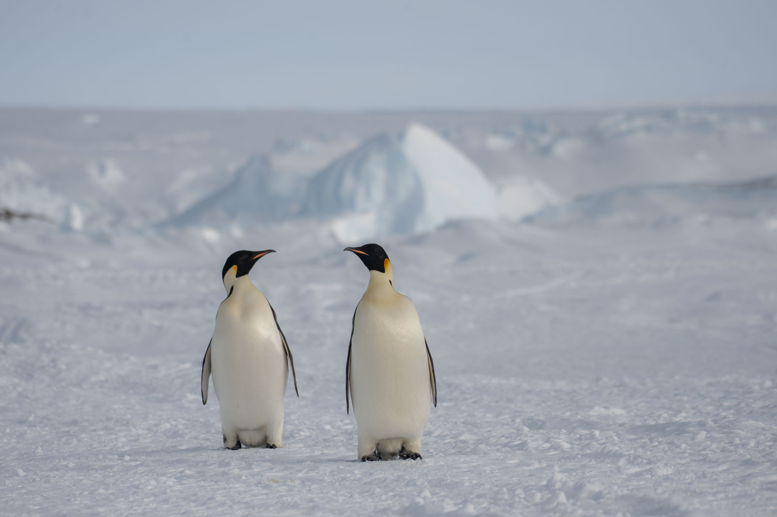 GYT 20221117 110015  DSC7926