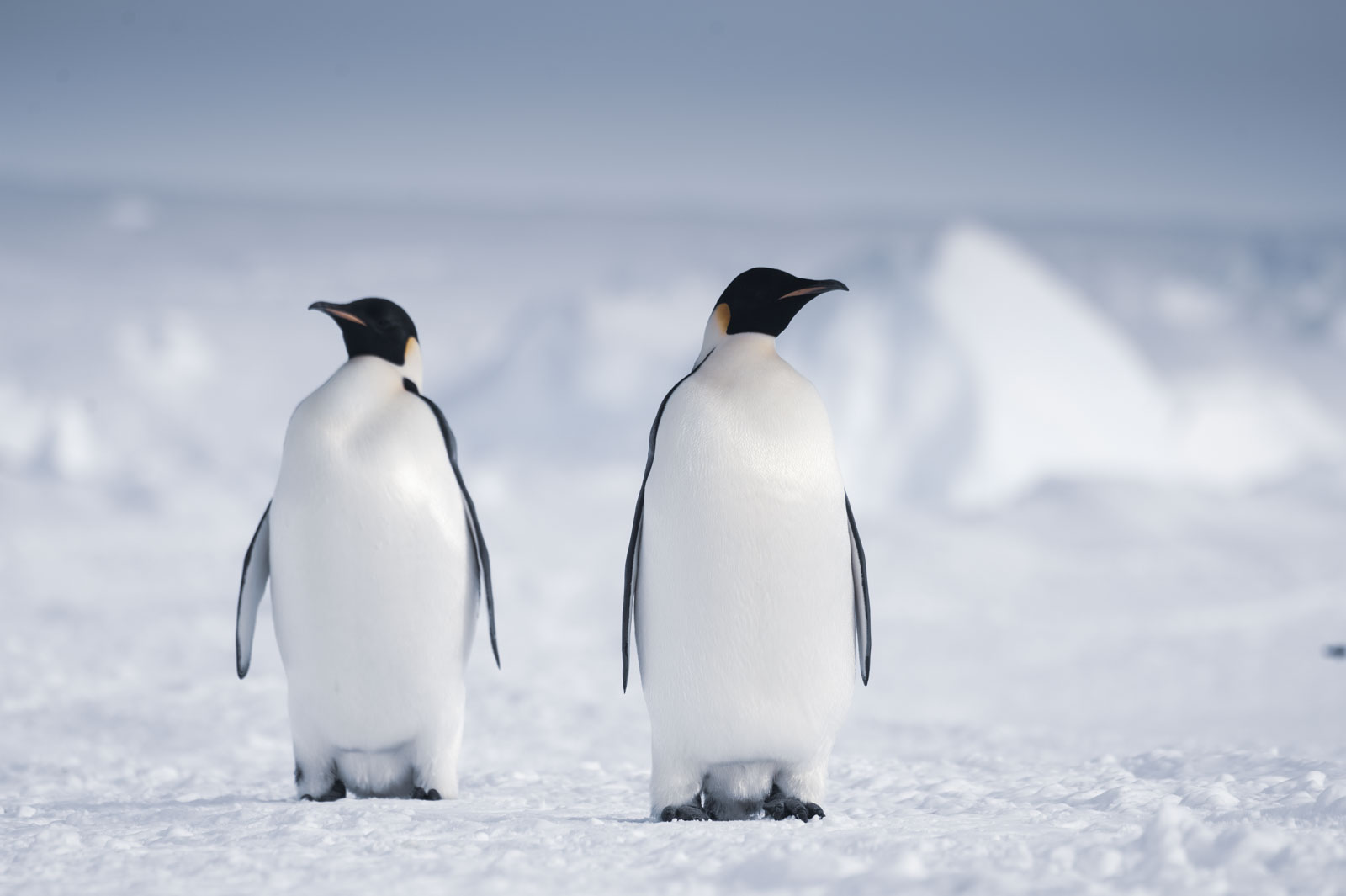 GYT 20221117 110031  DSC7927