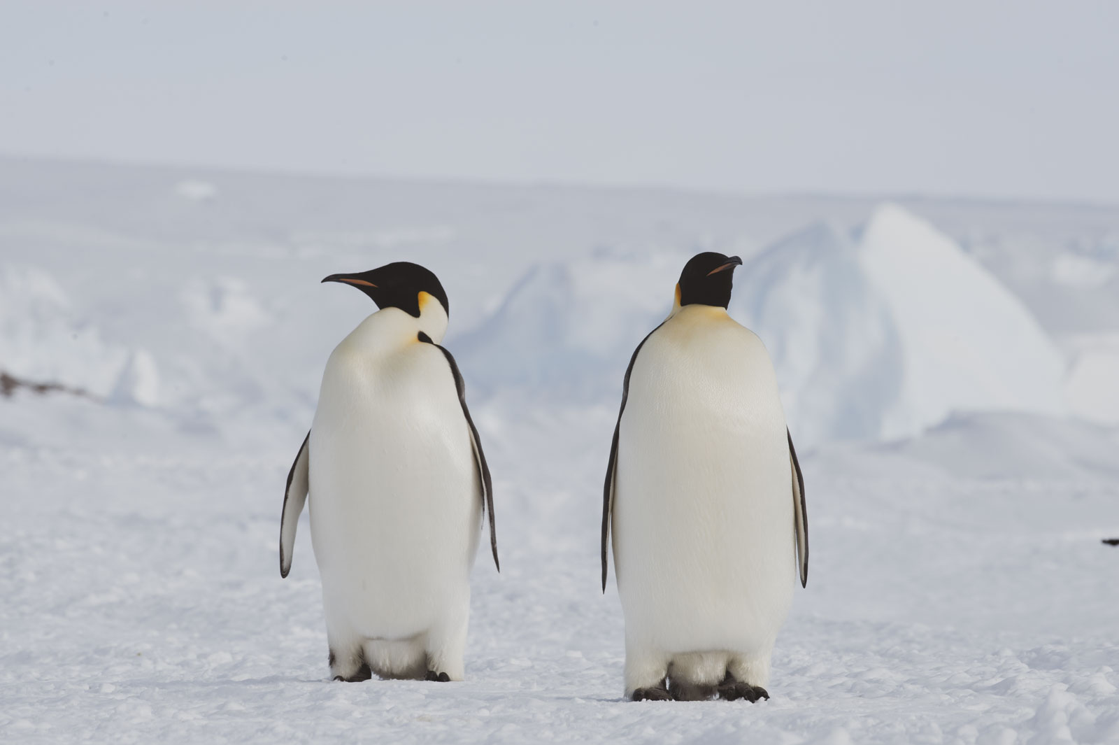 GYT 20221117 110035  DSC7928