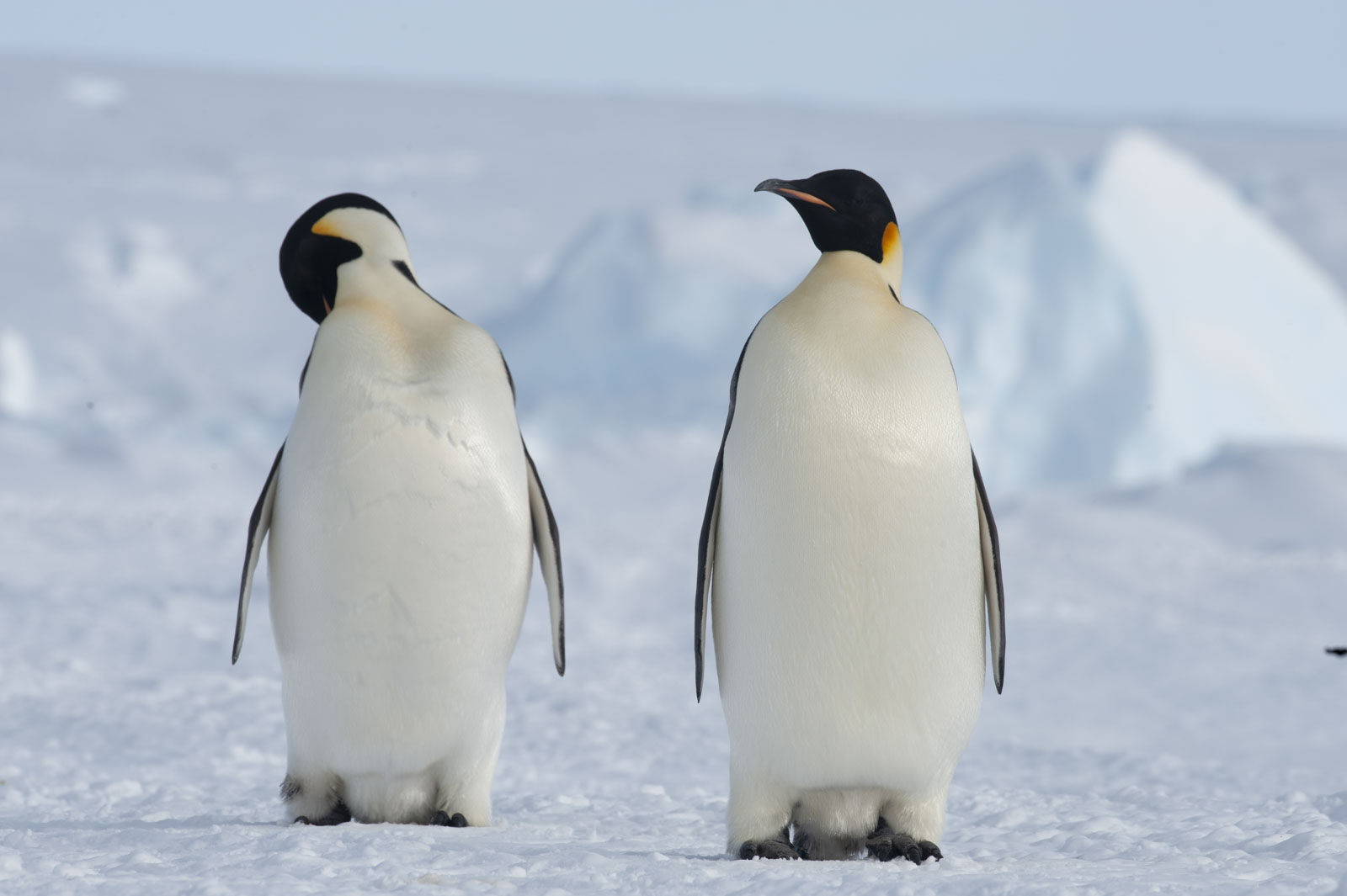 GYT 20221117 110045  DSC7930