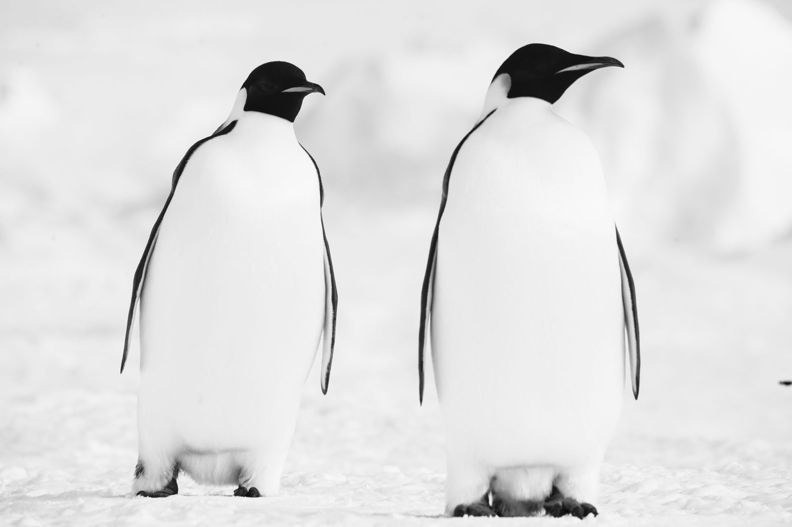 GYT 20221117 110125  DSC7933