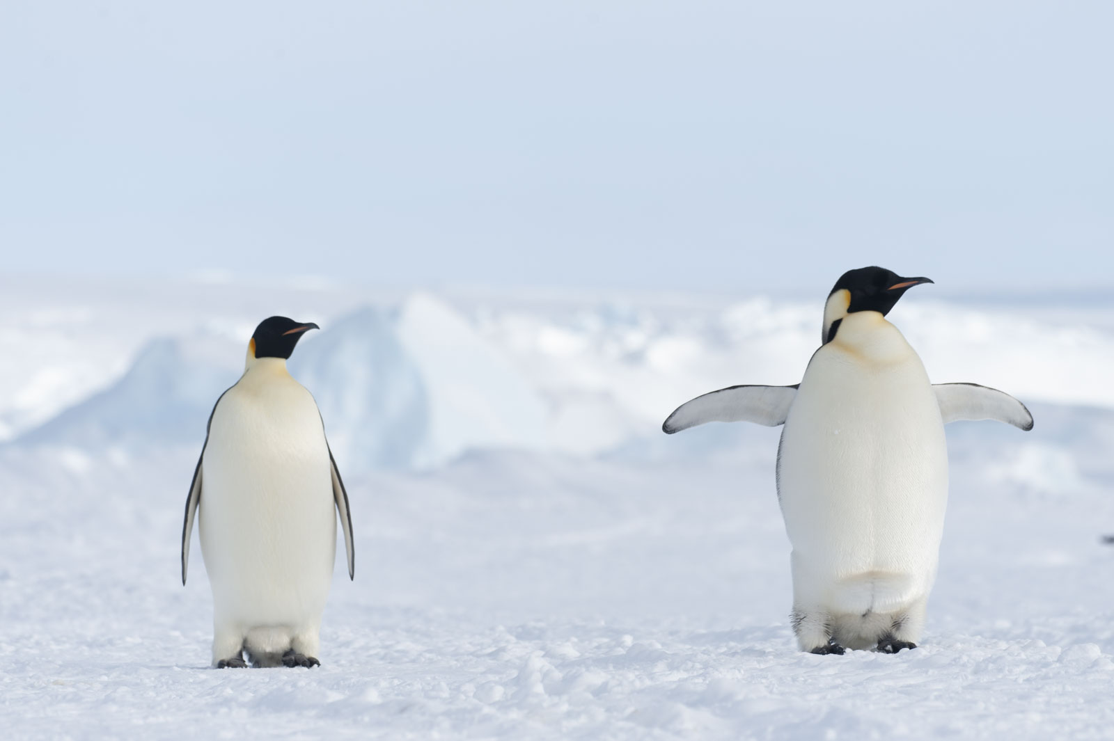 GYT 20221117 110301  DSC7937