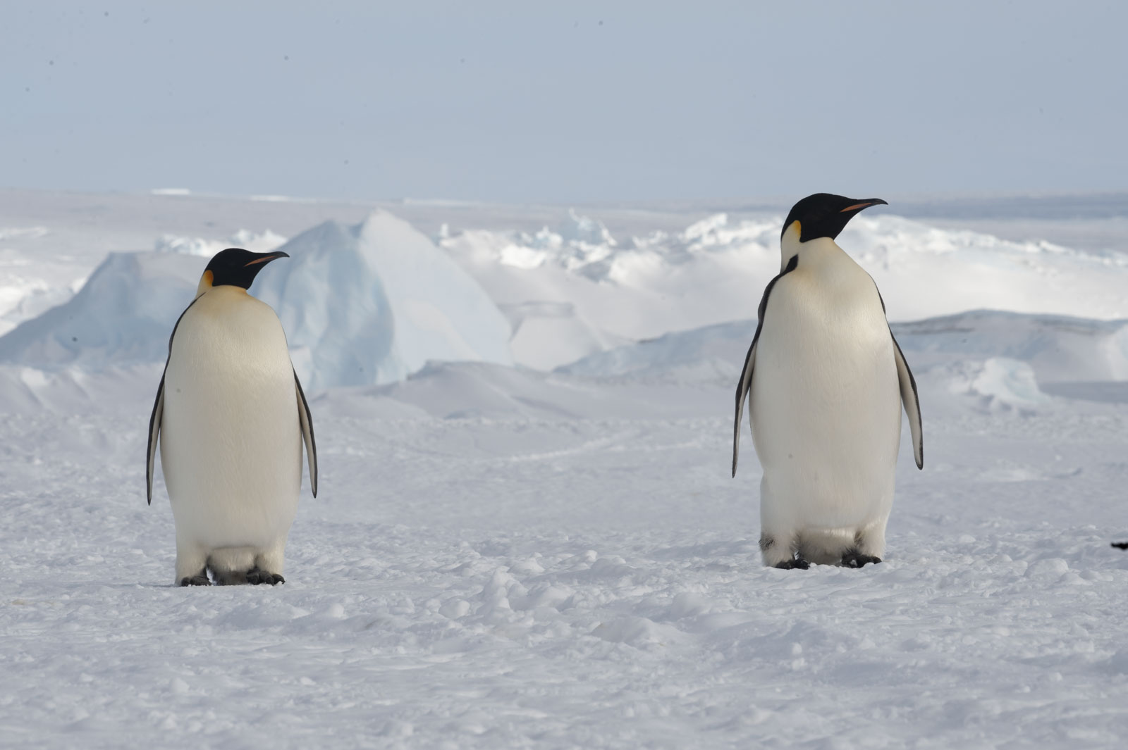 GYT 20221117 110310  DSC7938