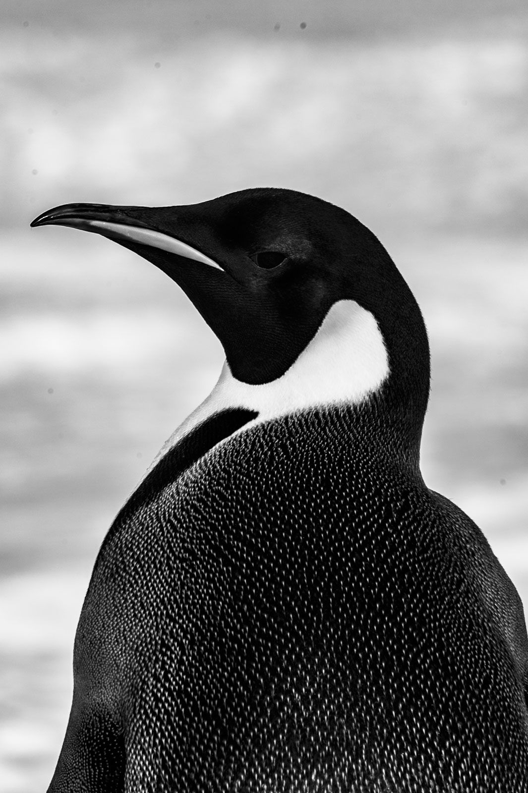 GYT 20221117 110505  DSC7947 2