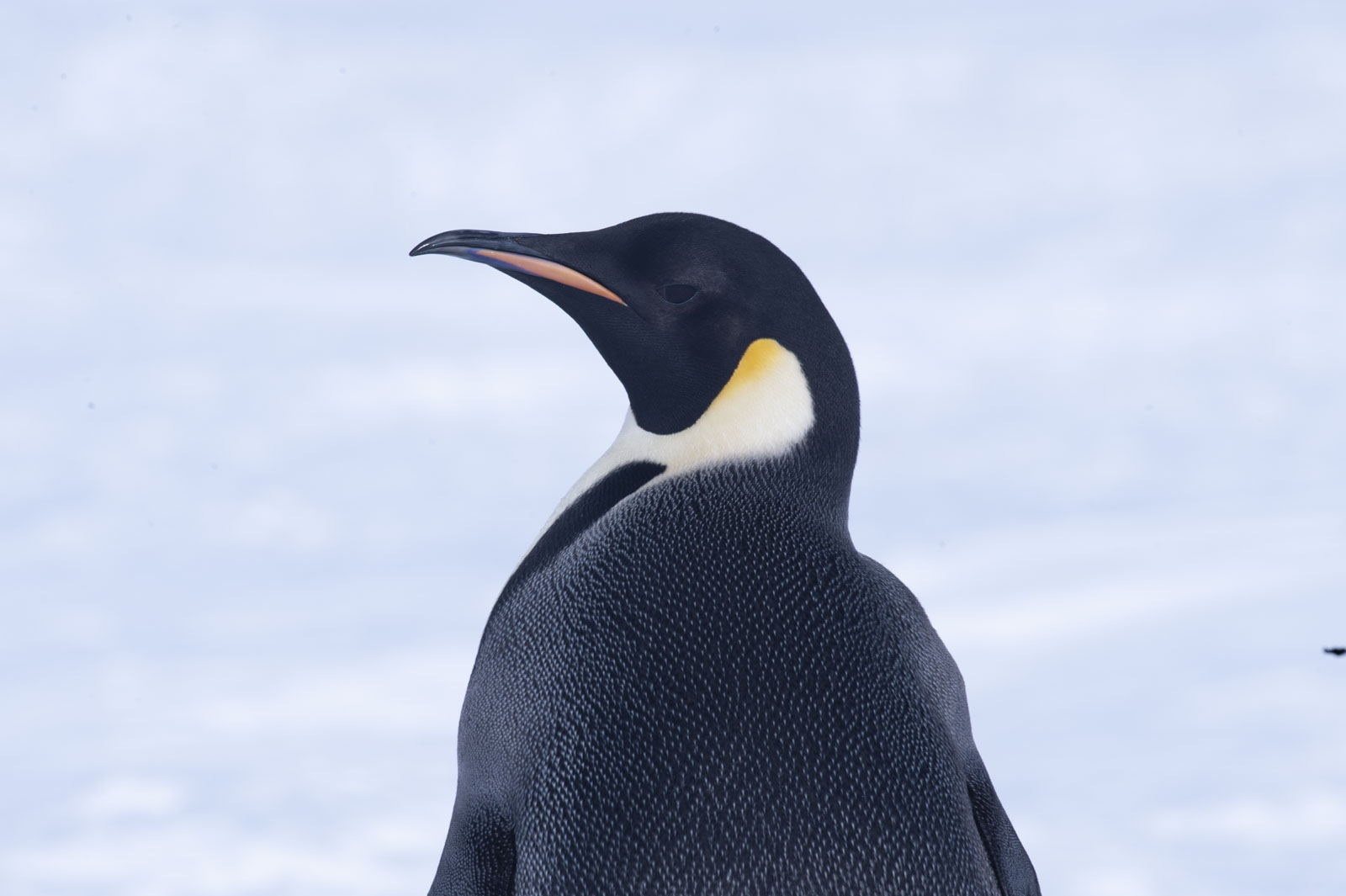 GYT 20221117 110505  DSC7947