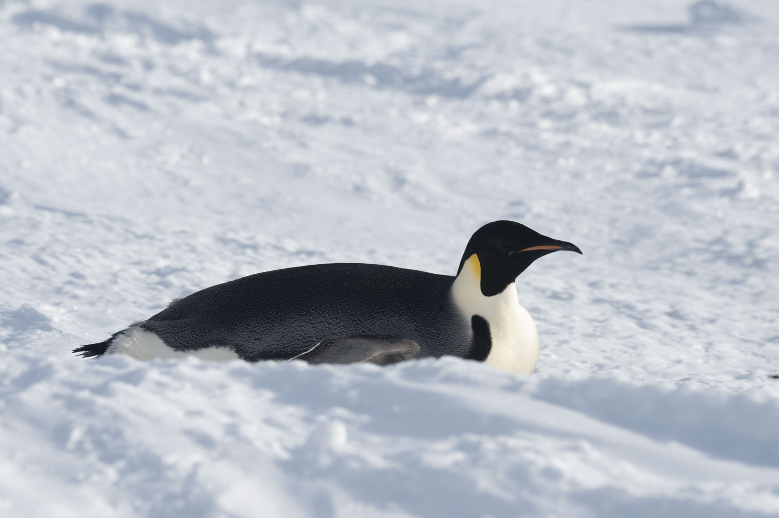 GYT 20221117 110704  DSC7951