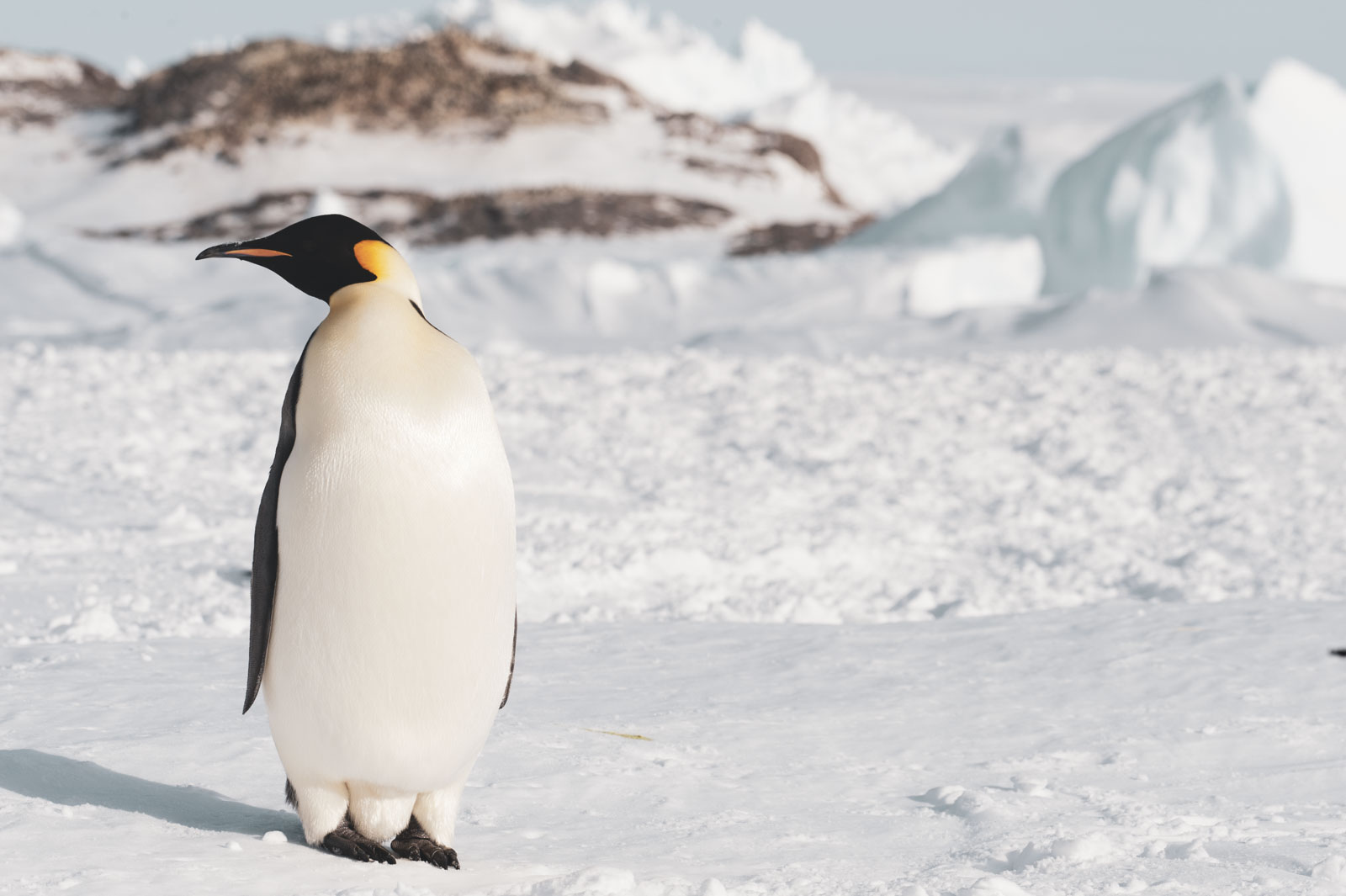 GYT 20221117 111247  DSC7955 2