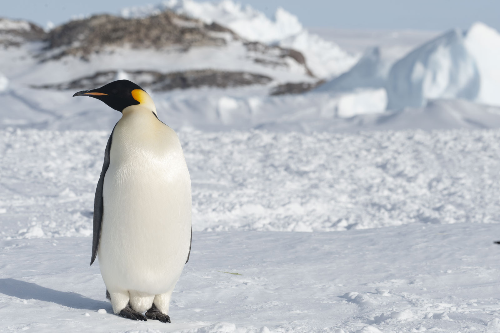 GYT 20221117 111247  DSC7955