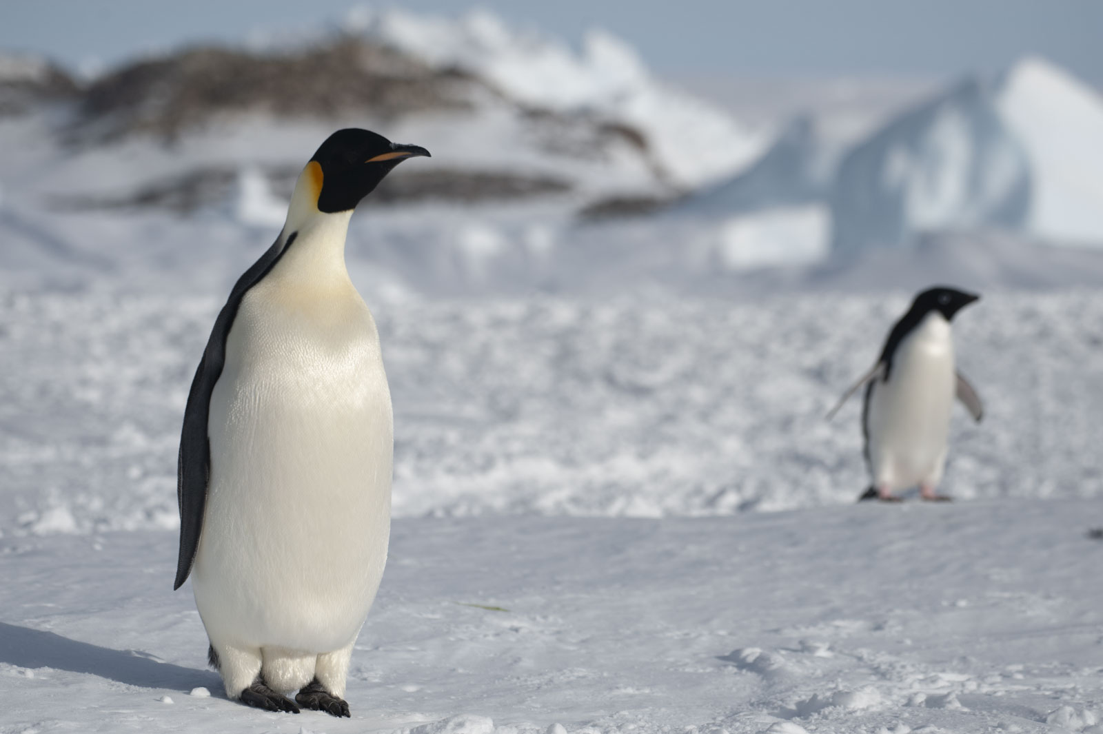 GYT 20221117 111258  DSC7958