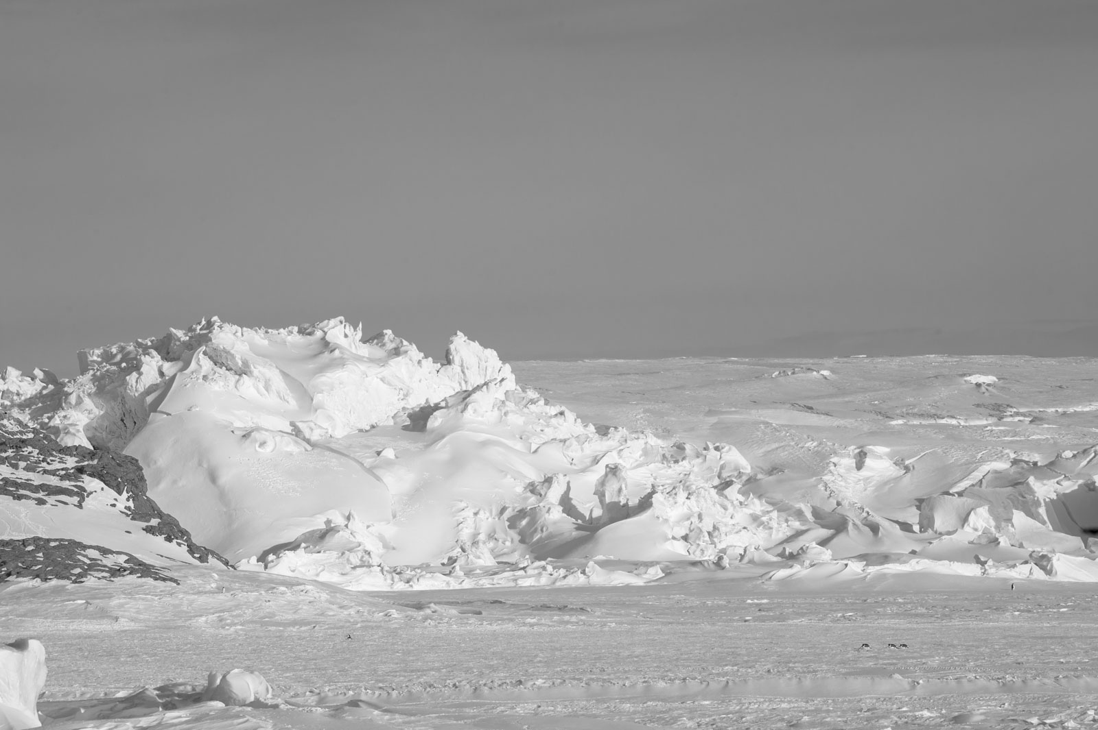 GYT 20221117 111832  DSC7959