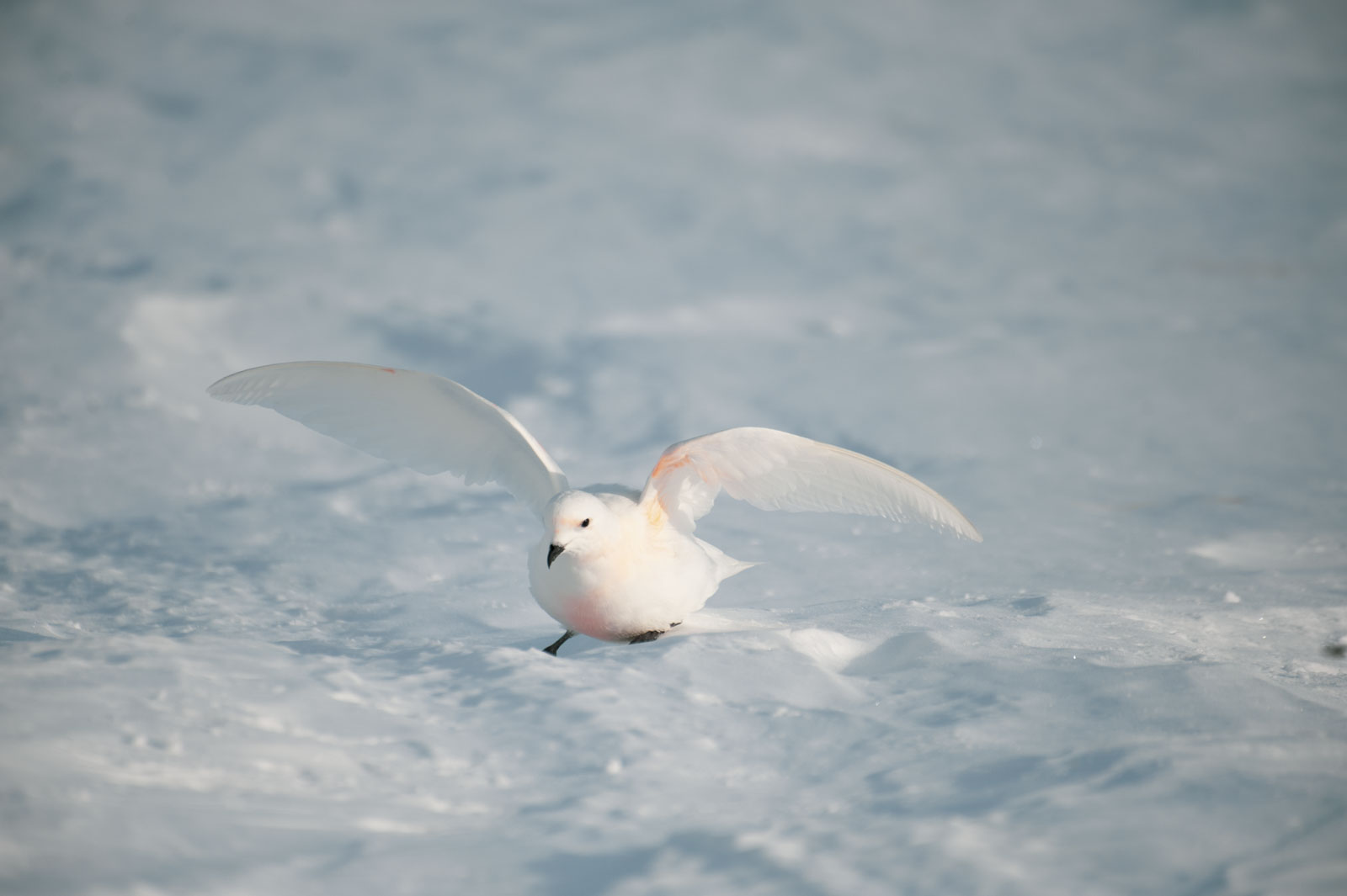 GYT 20221117 112322  DSC7965