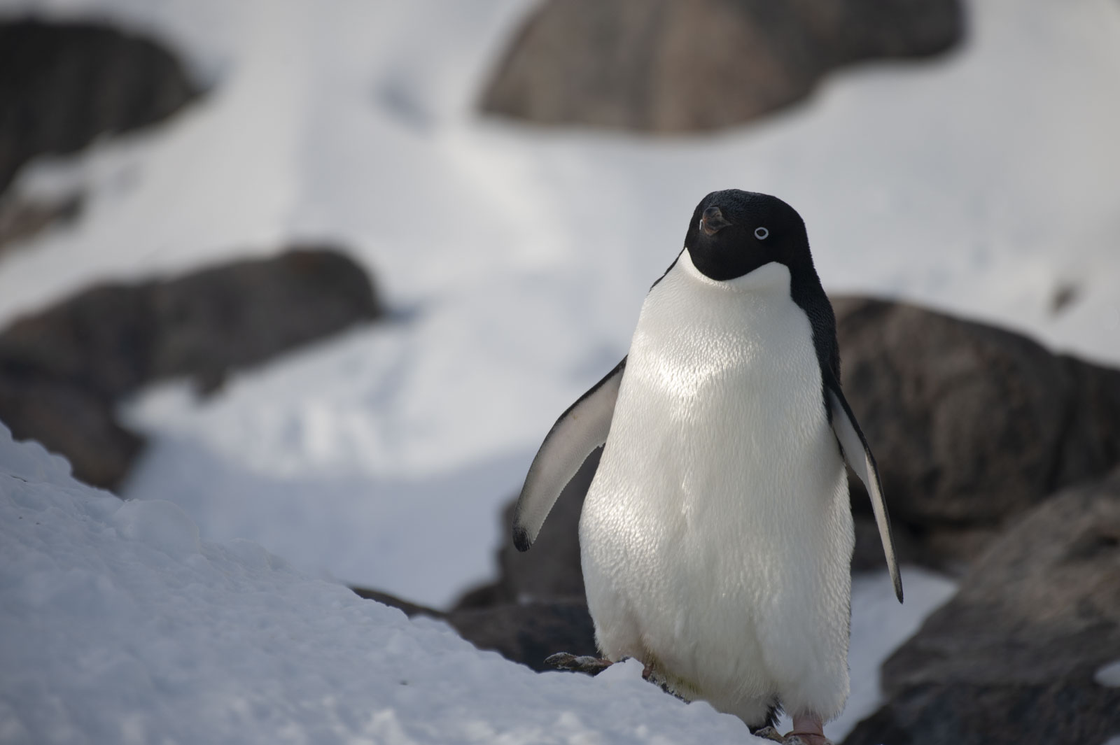 GYT 20221117 112610  DSC7966