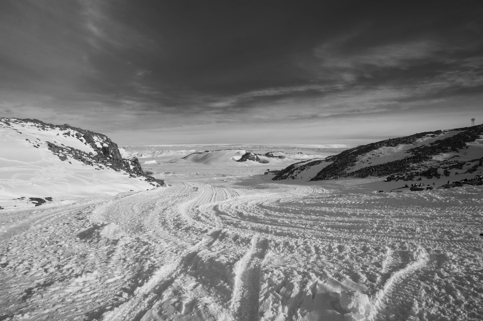 GYT 20221117 112836  DSC7967