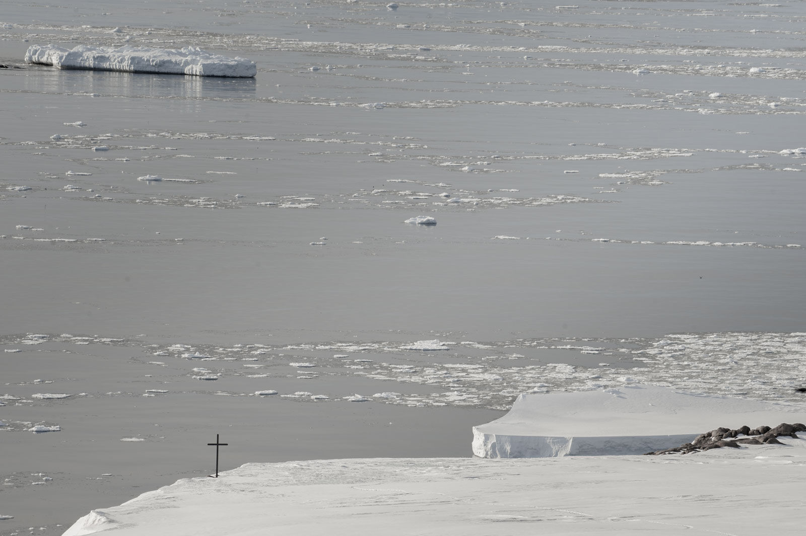 GYT 20221117 113854  DSC7985