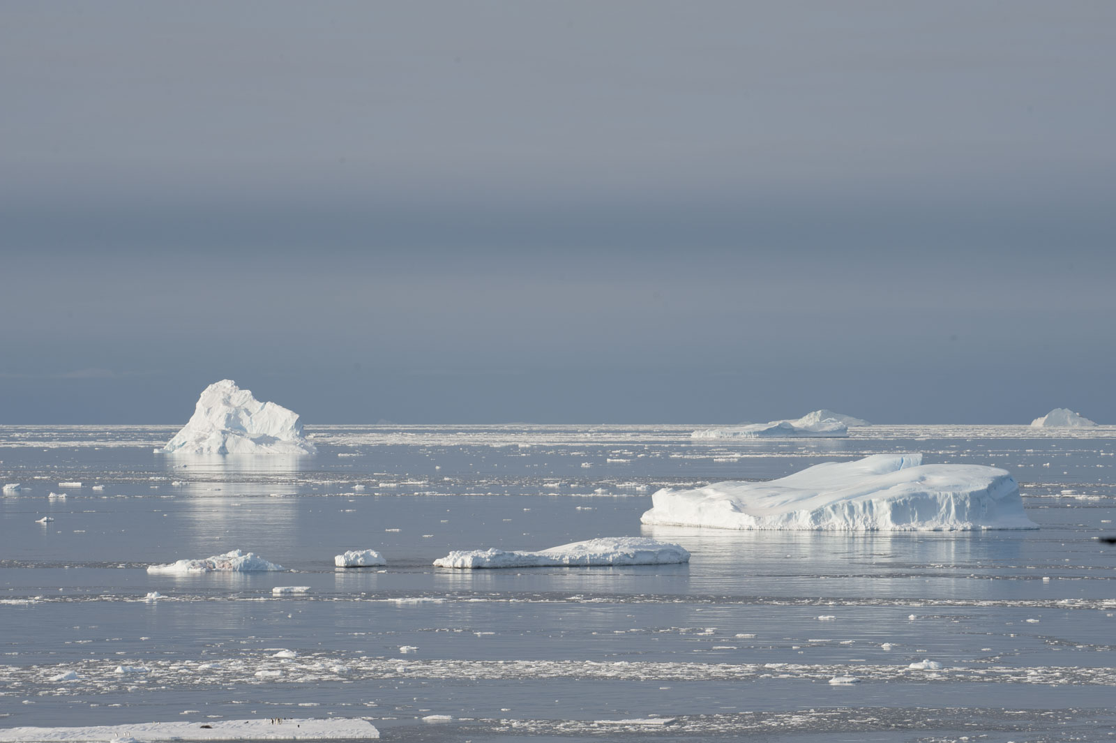 GYT 20221117 113911  DSC7987