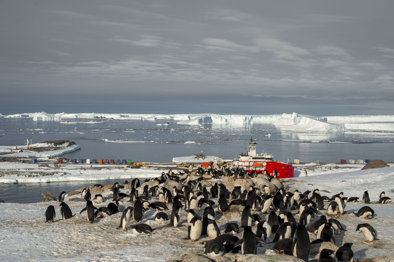 GYT 20221117 115908  DSC7993