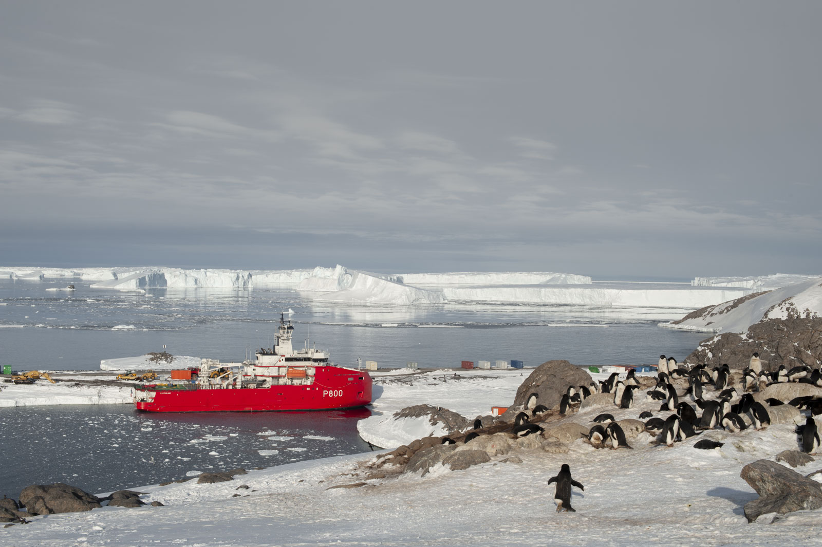 GYT 20221117 115942  DSC7995