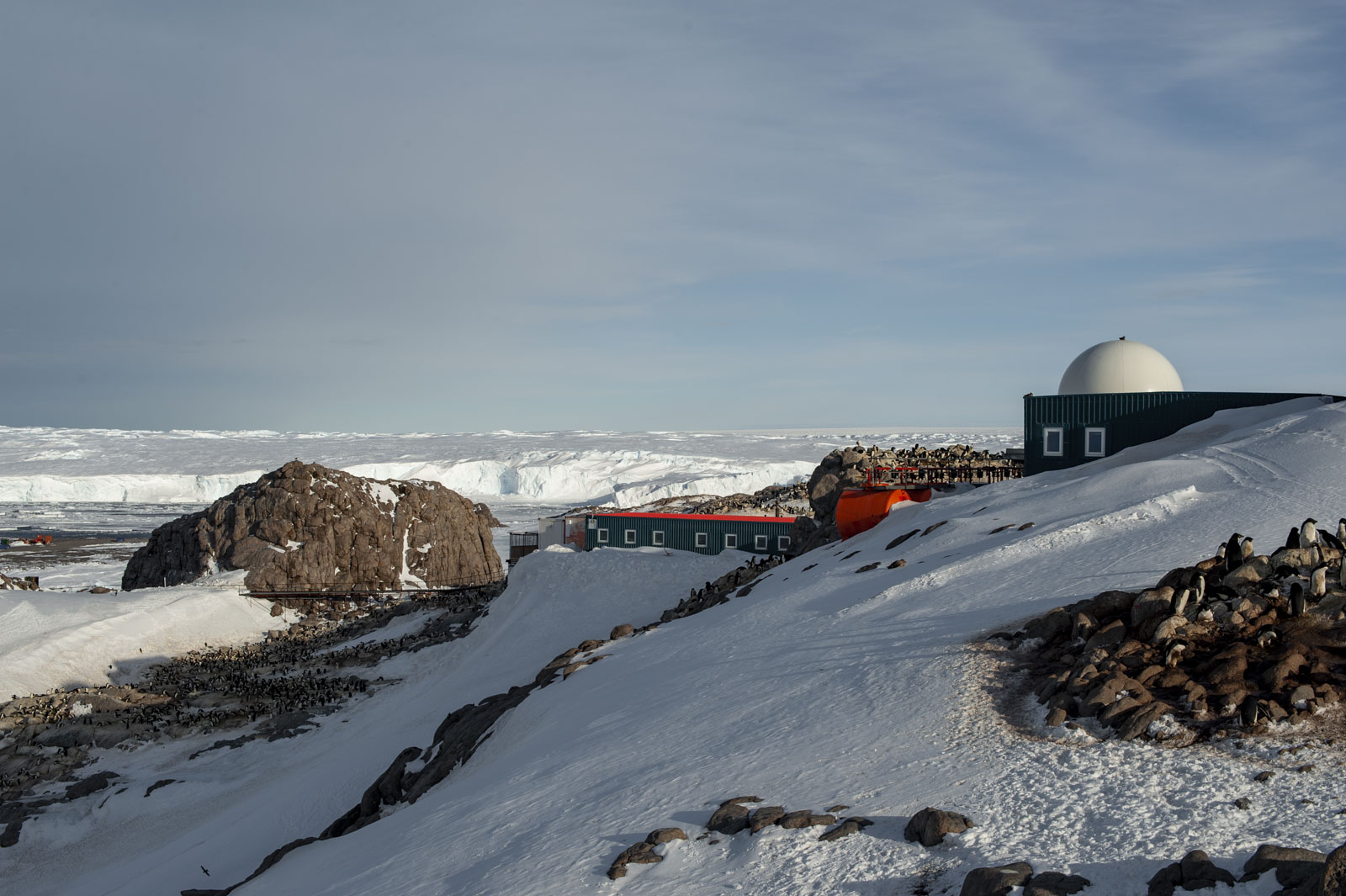 GYT 20221117 120121  DSC8003