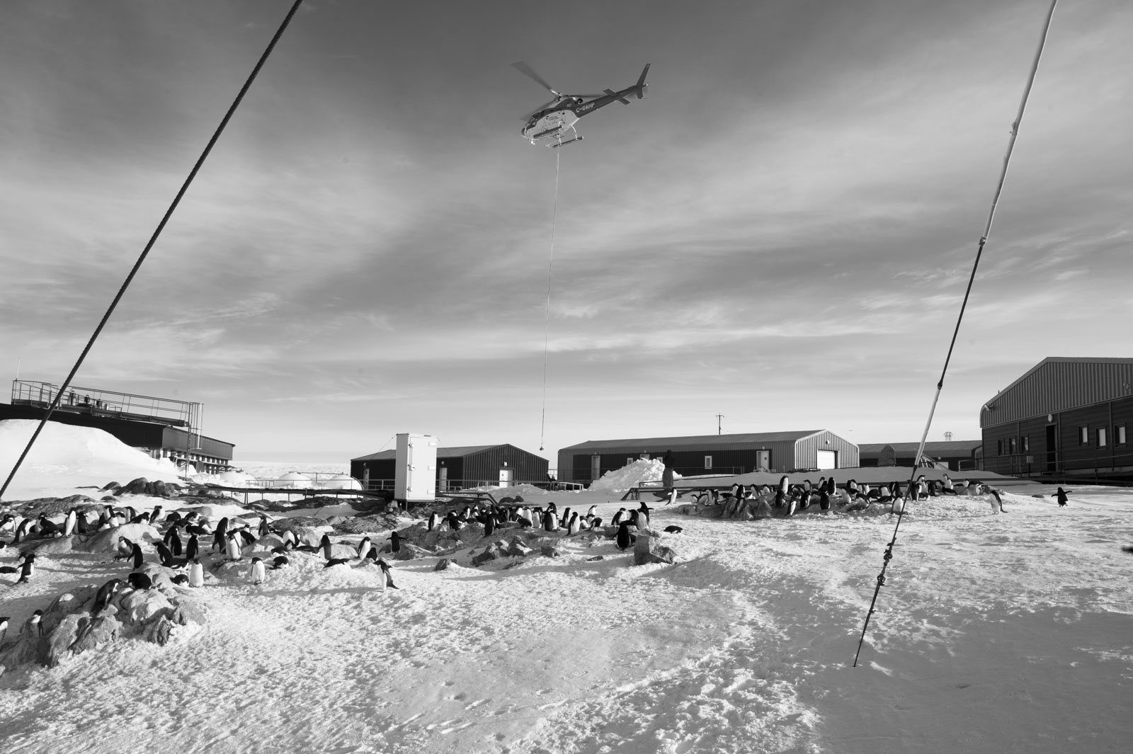 GYT 20221117 120600  DSC8008