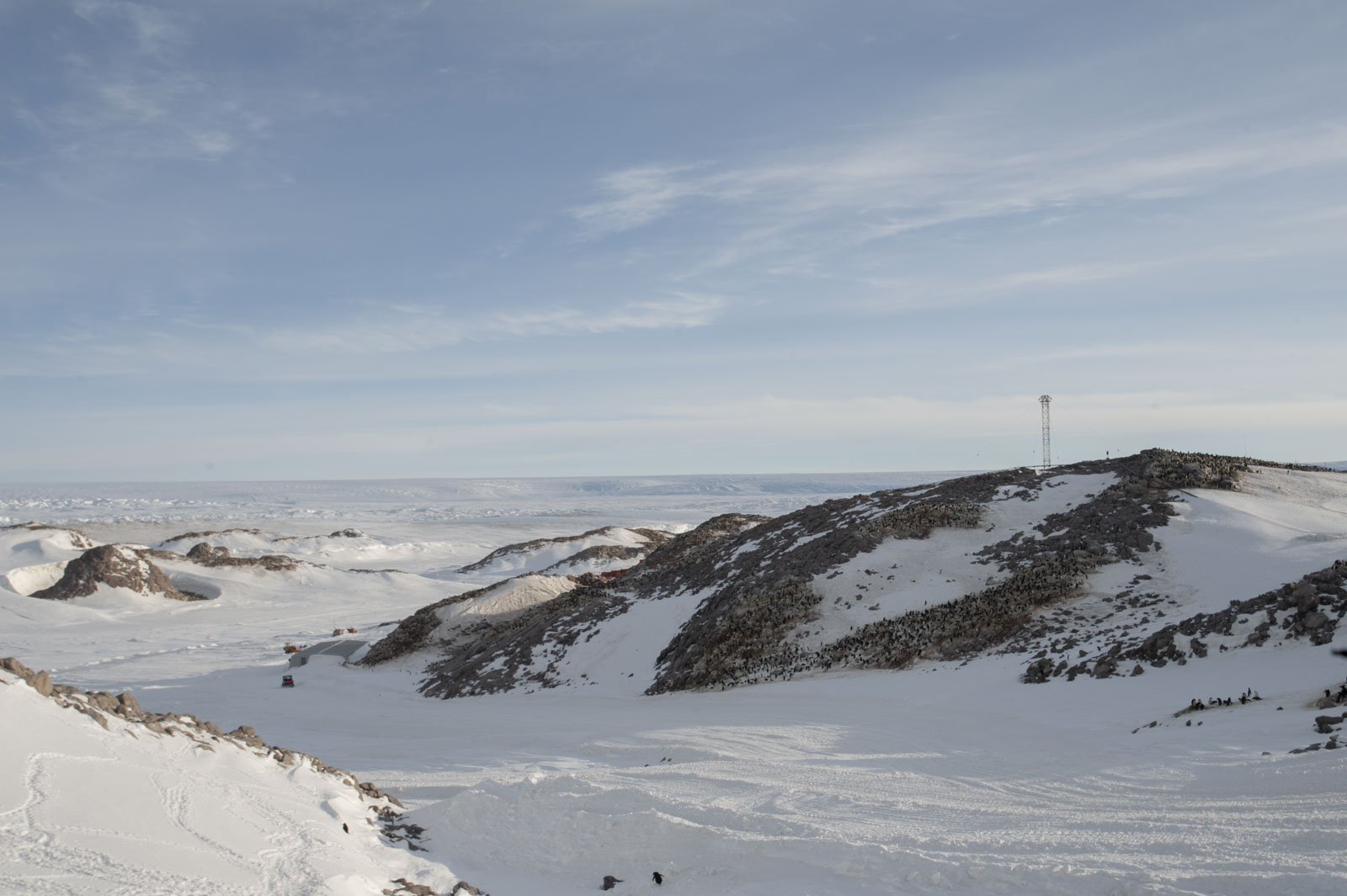 GYT 20221117 122023  DSC8038