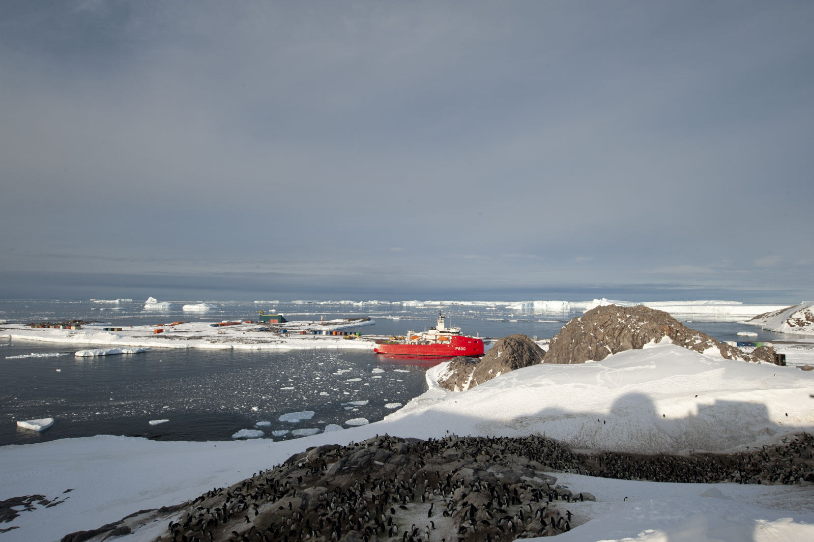 GYT 20221117 122213  DSC8040