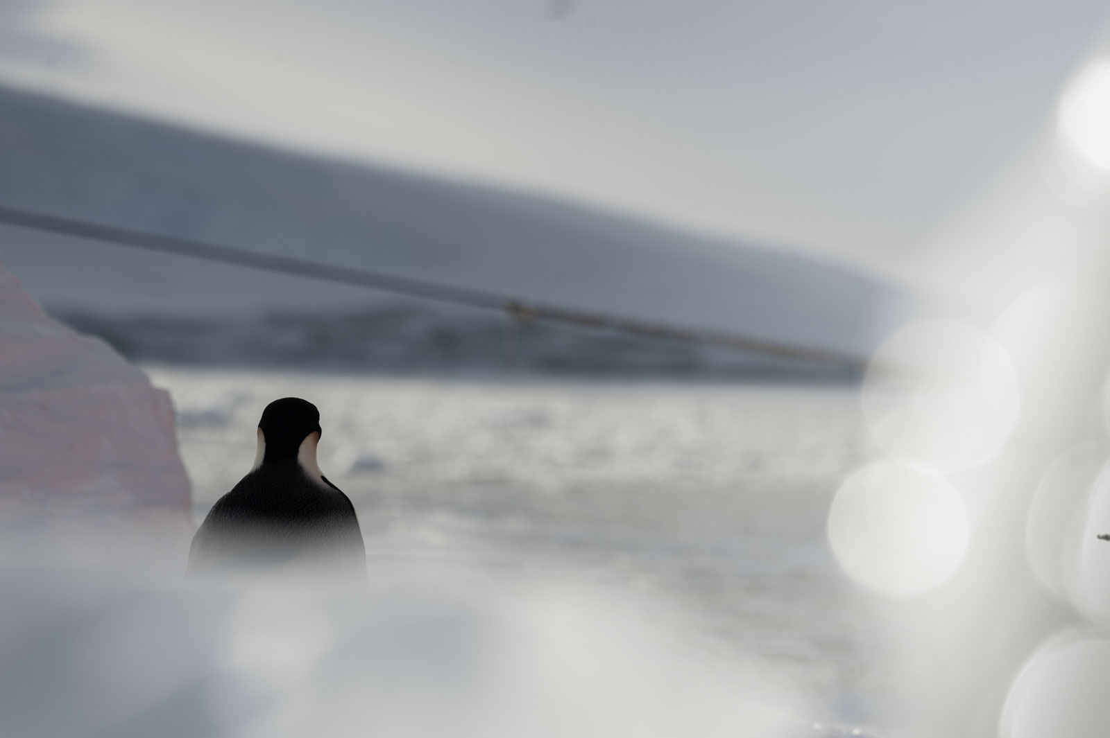 GYT 20221117 123850  DSC8051