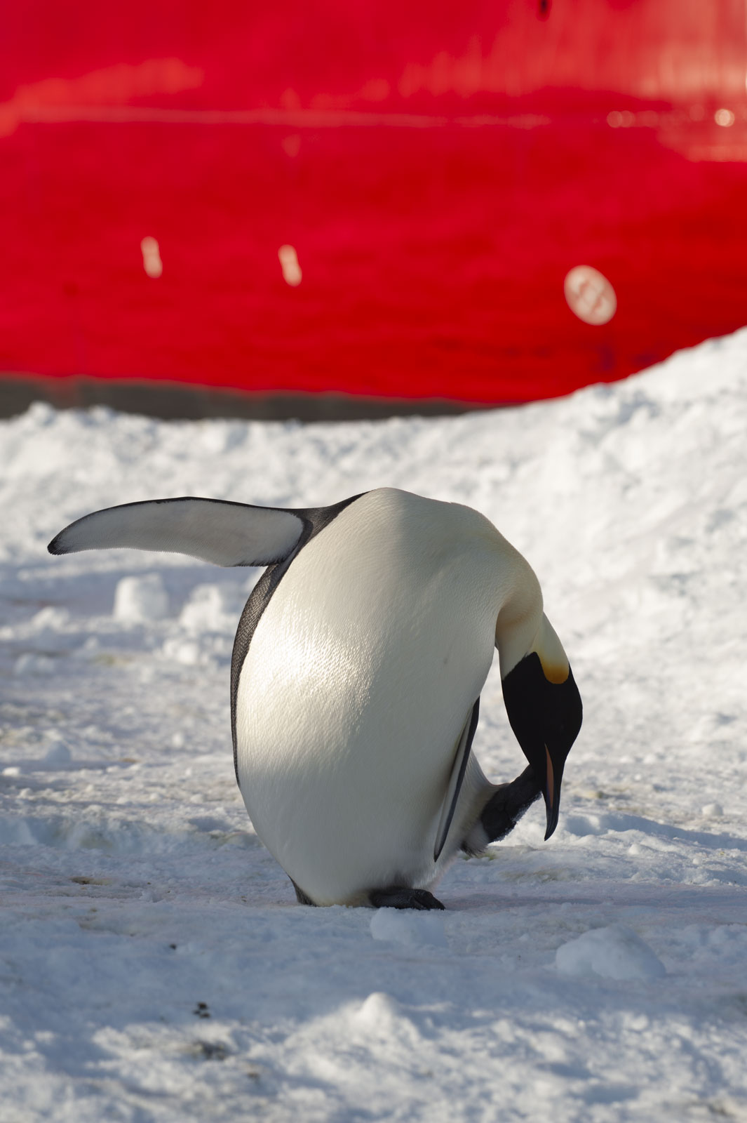 GYT 20221117 124127  DSC8053