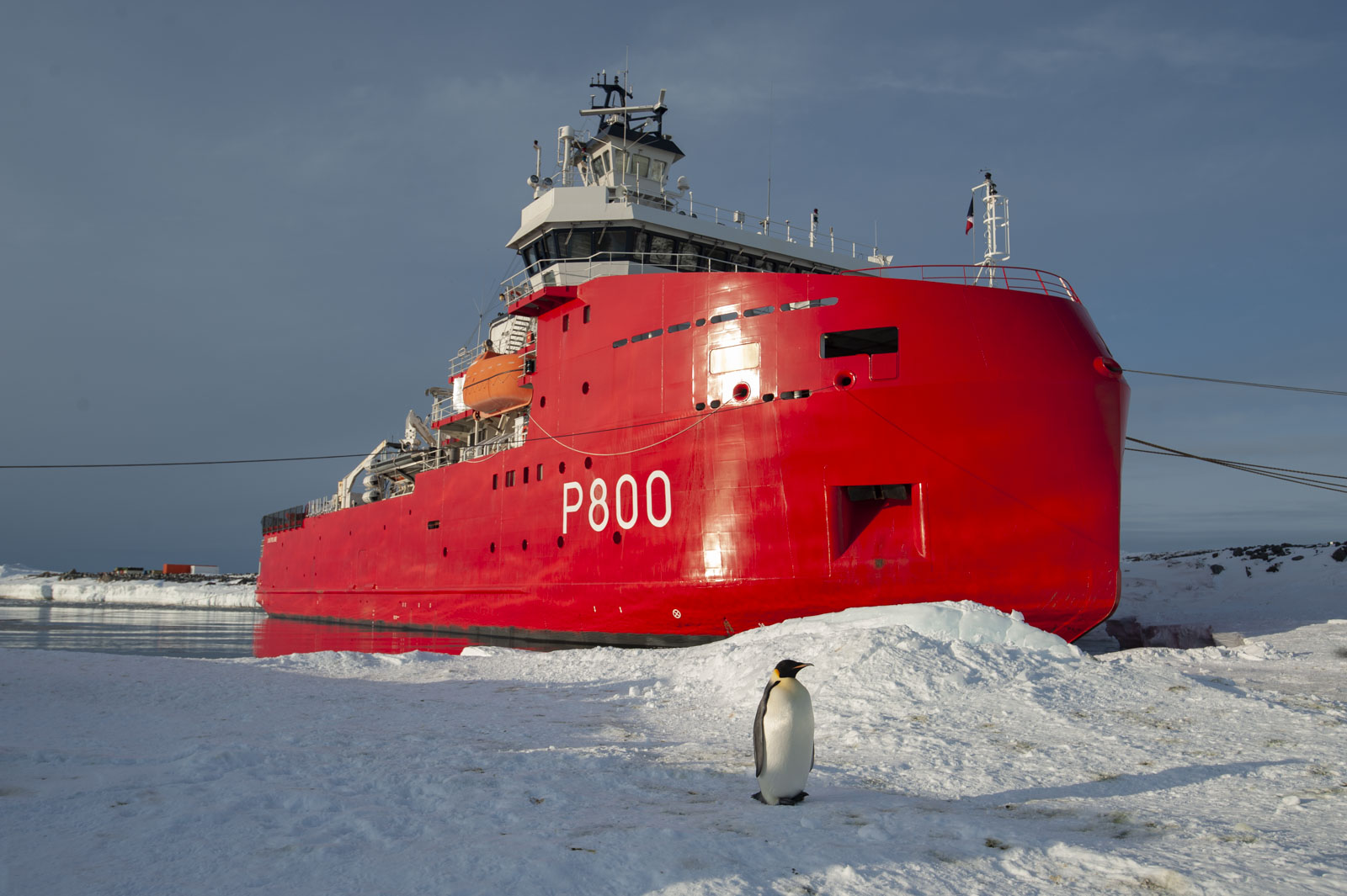 GYT 20221117 124240  DSC8055