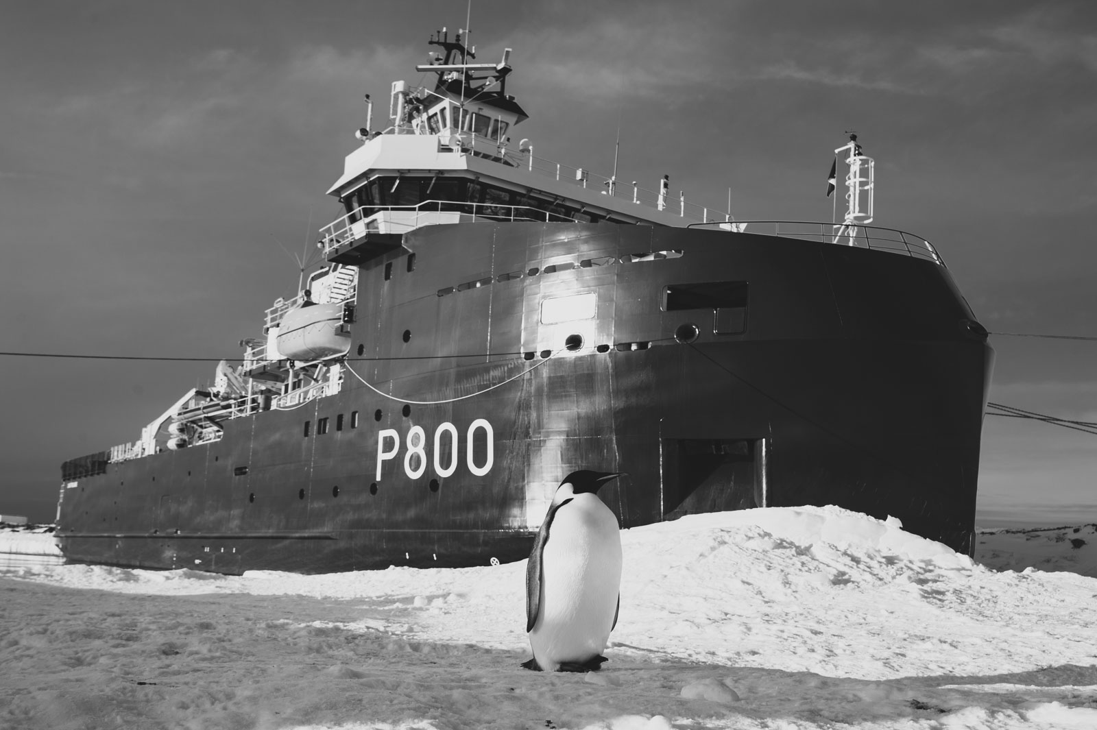 GYT 20221117 124257  DSC8057 2