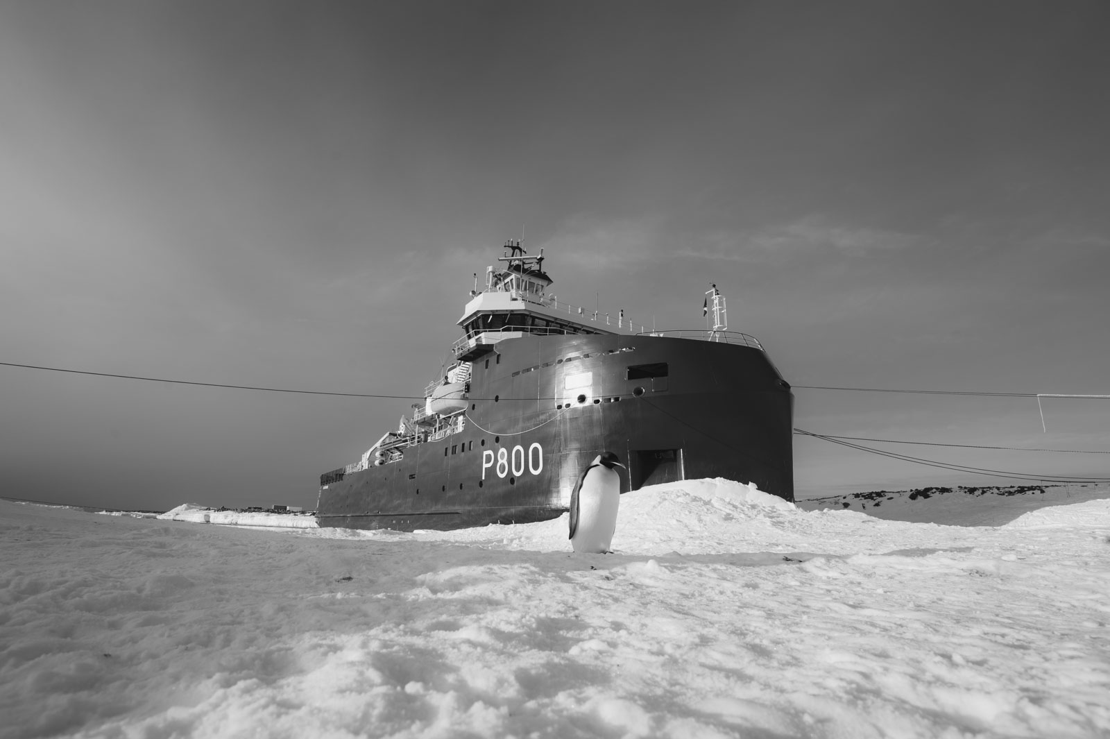 GYT 20221117 124307  DSC8058 2