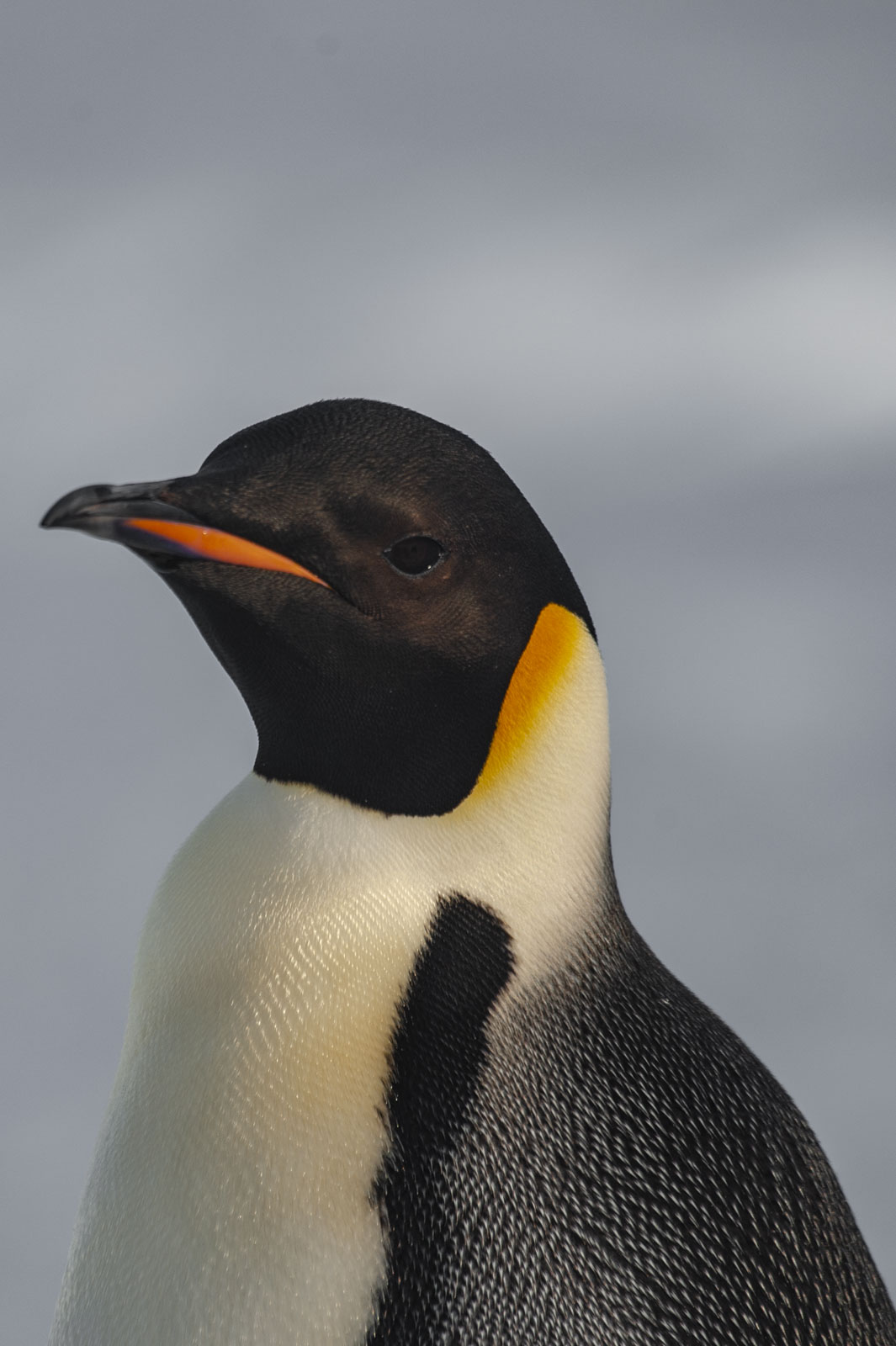 GYT 20221117 124537  DSC8064