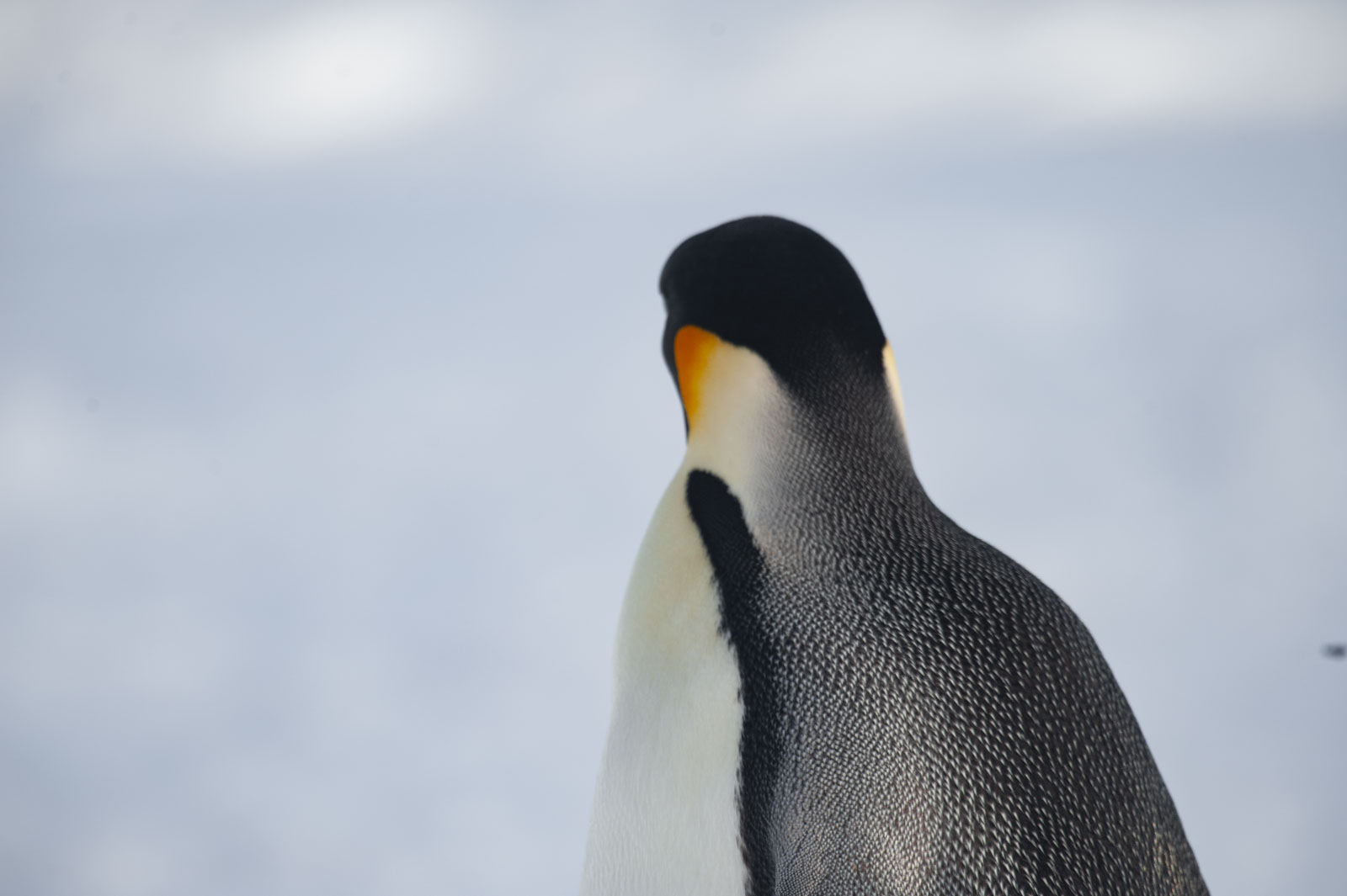 GYT 20221117 124542  DSC8065