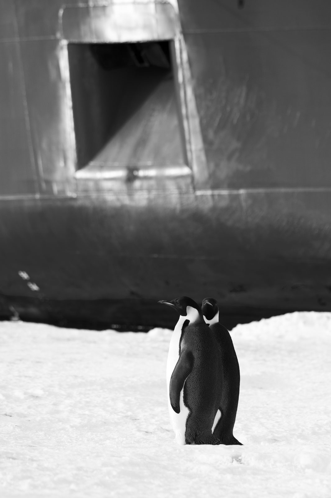 GYT 20221117 124721  DSC8067 2