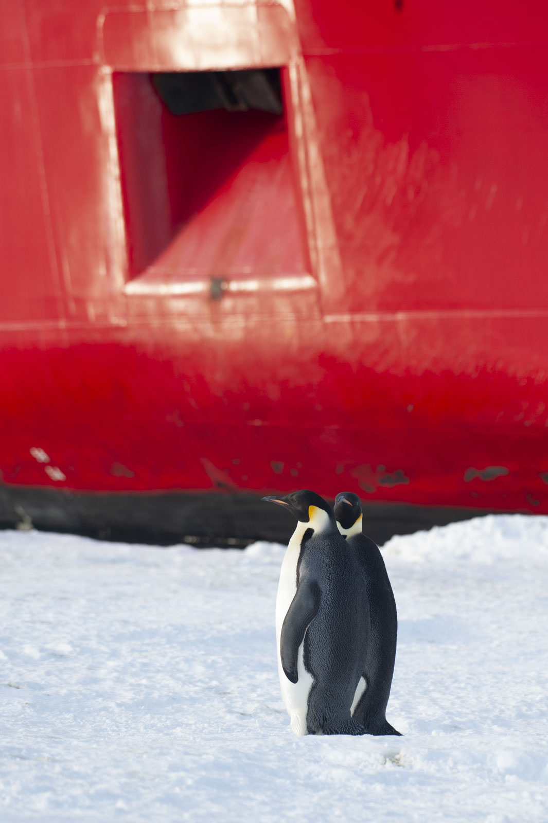 GYT 20221117 124721  DSC8067