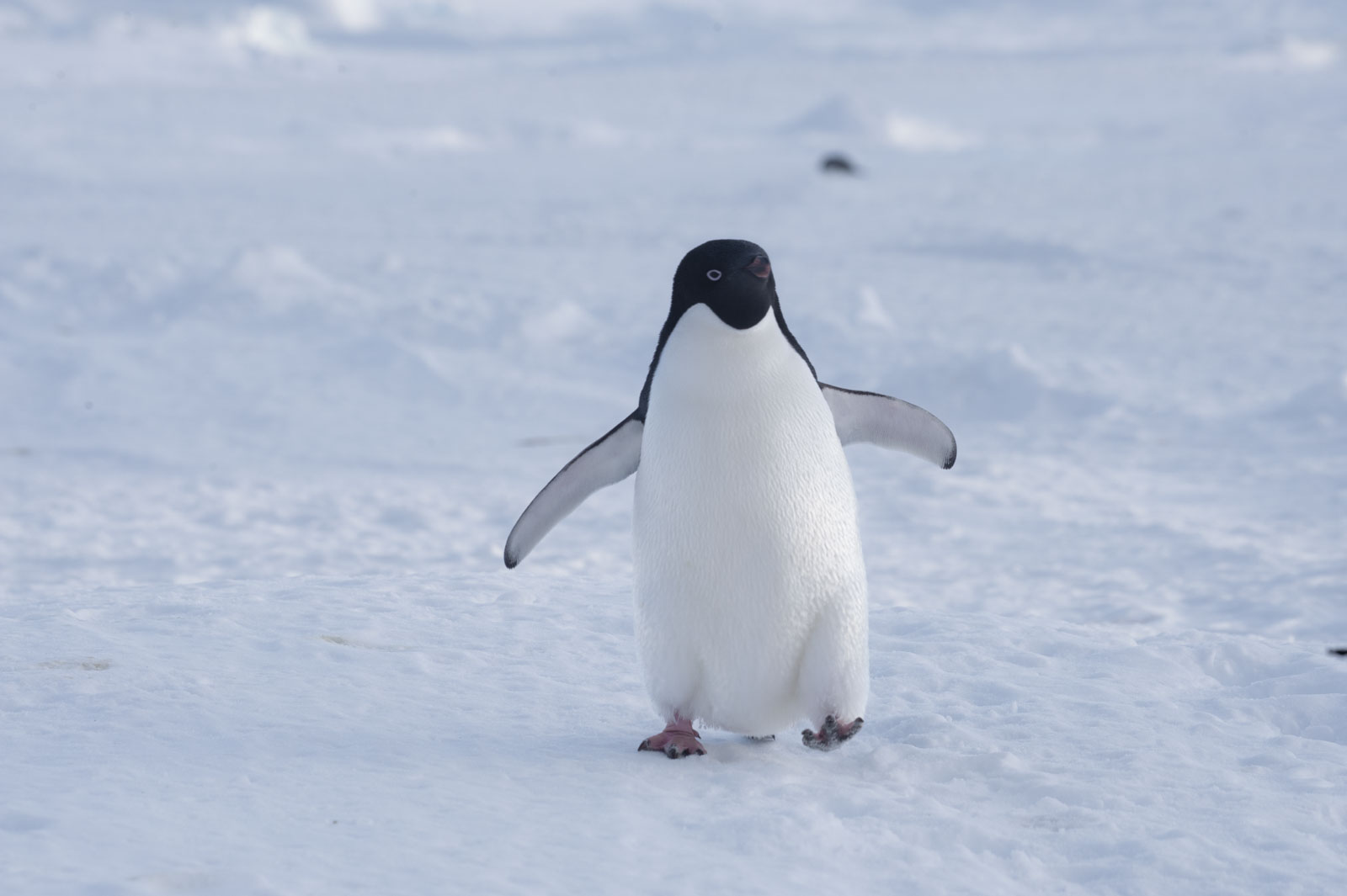 GYT 20221117 124734  DSC8069