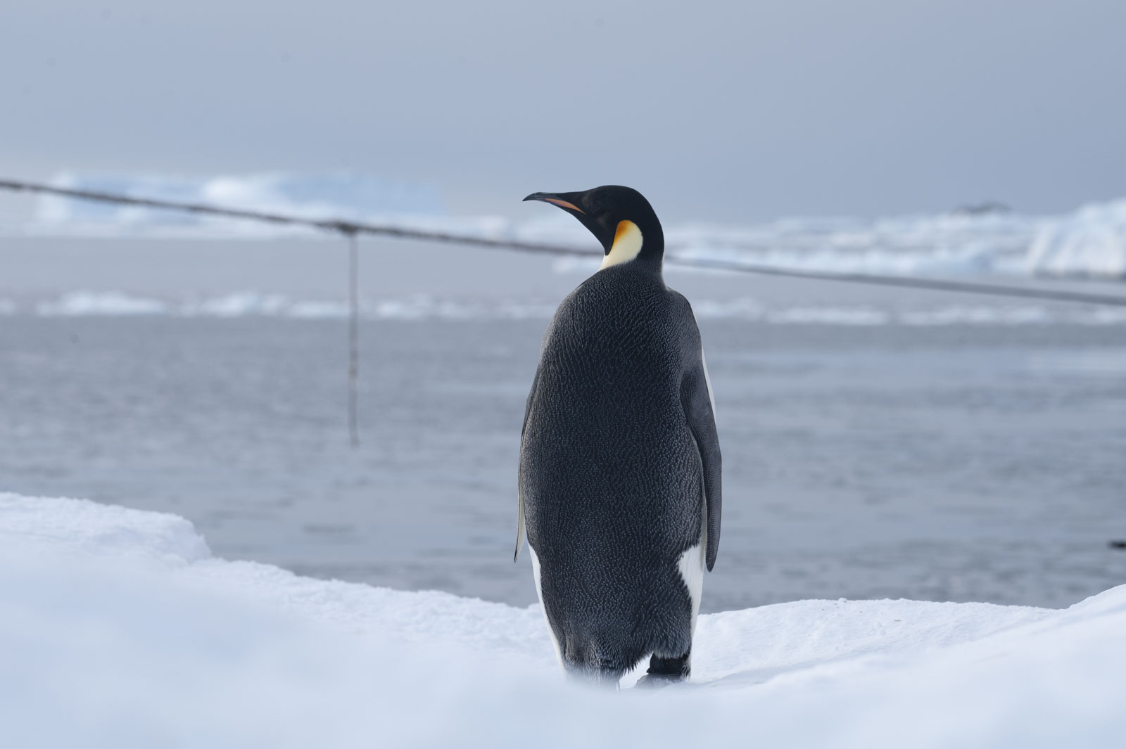 GYT 20221117 124935  DSC8072