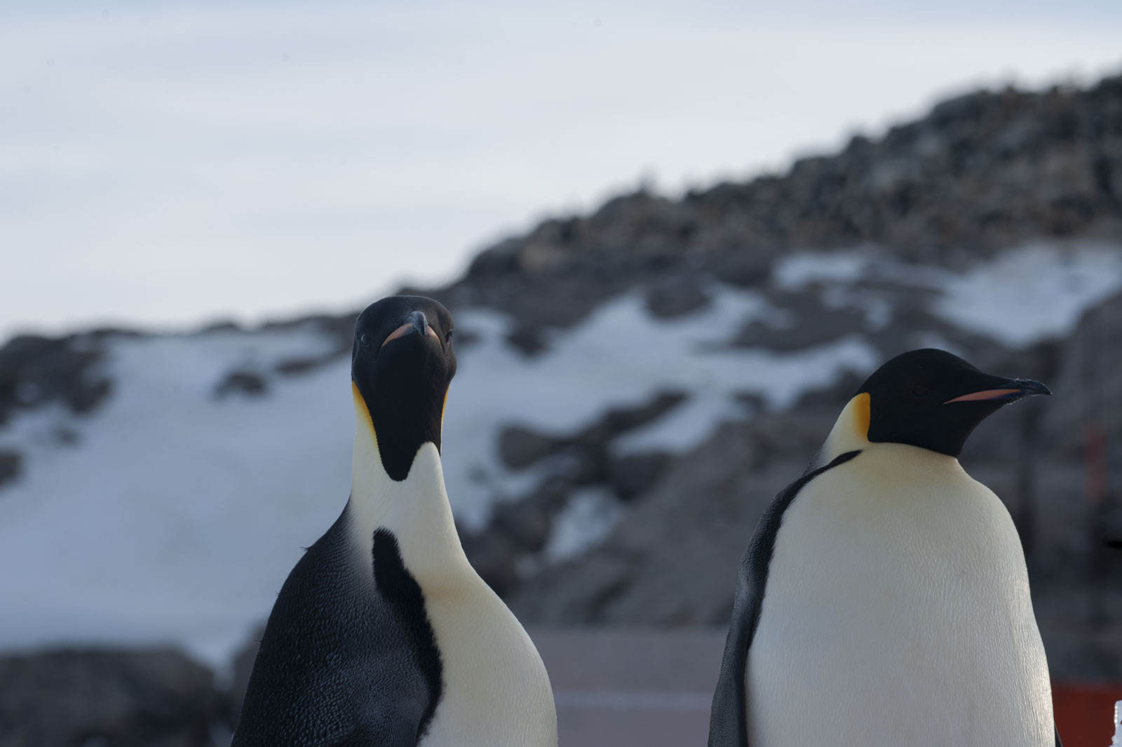 GYT 20221117 125034  DSC8080