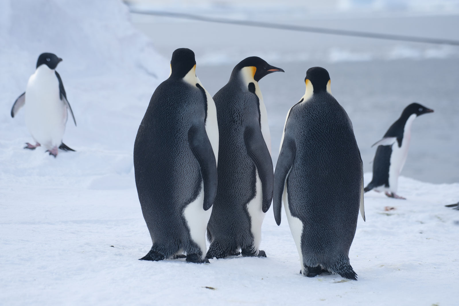 GYT 20221117 125216  DSC8085