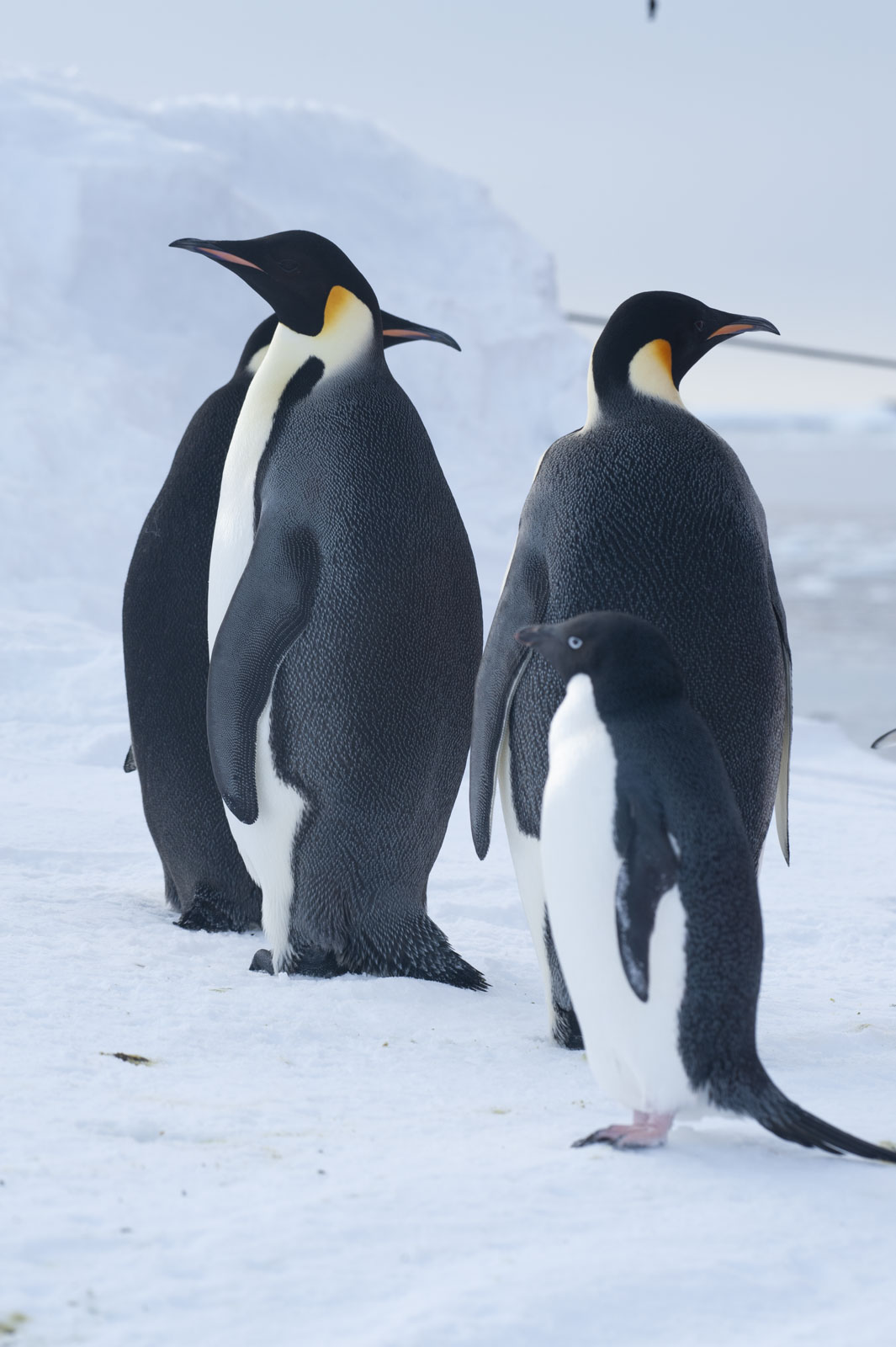 GYT 20221117 125240  DSC8087