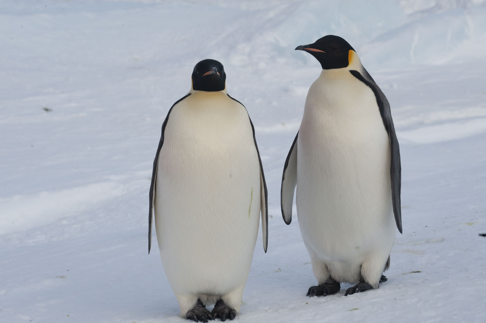 GYT 20221117 125417  DSC8088