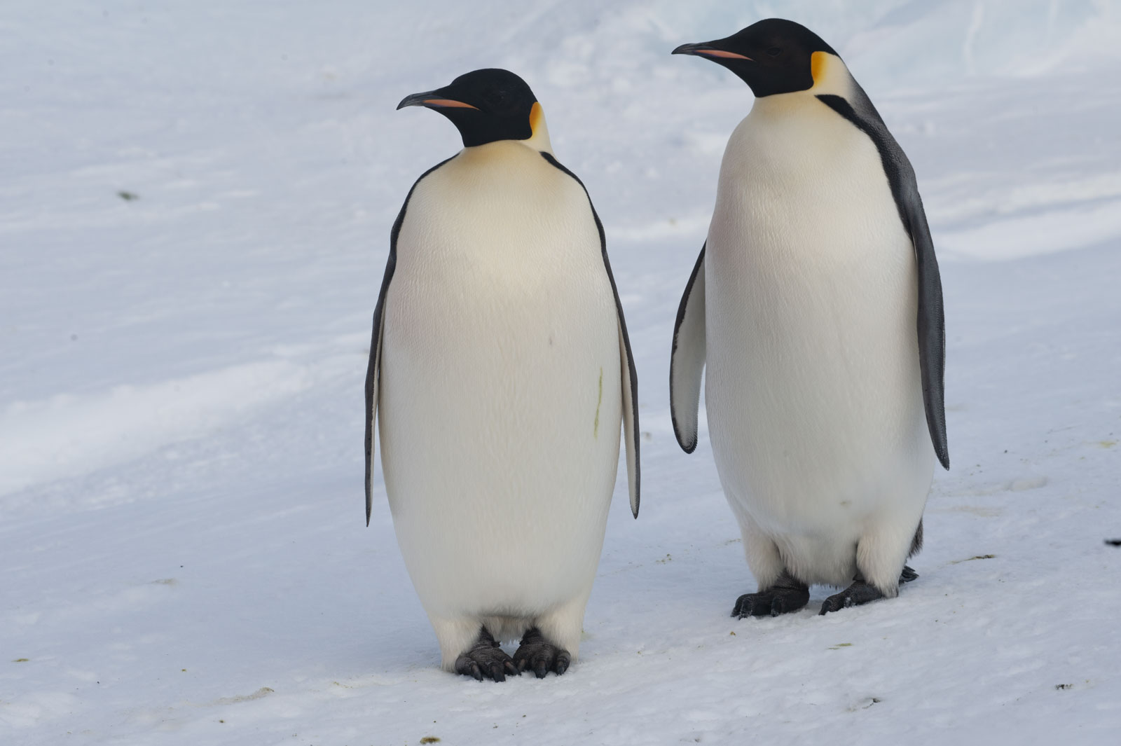 GYT 20221117 125419  DSC8090