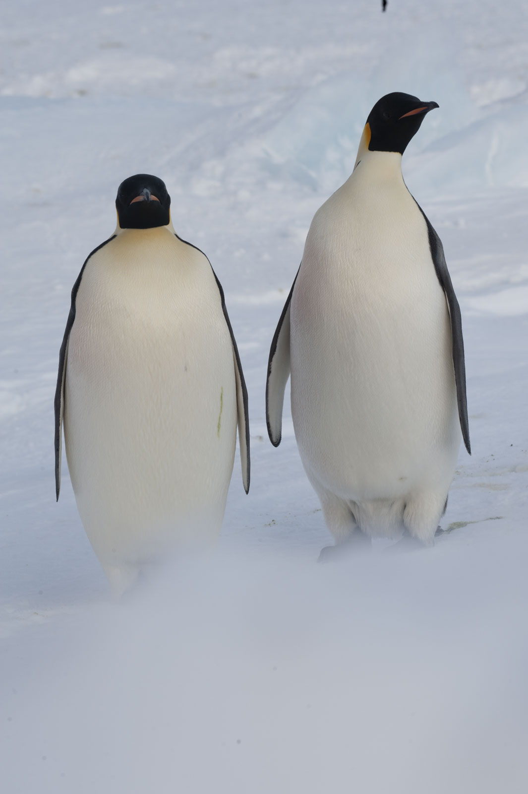 GYT 20221117 125438  DSC8093