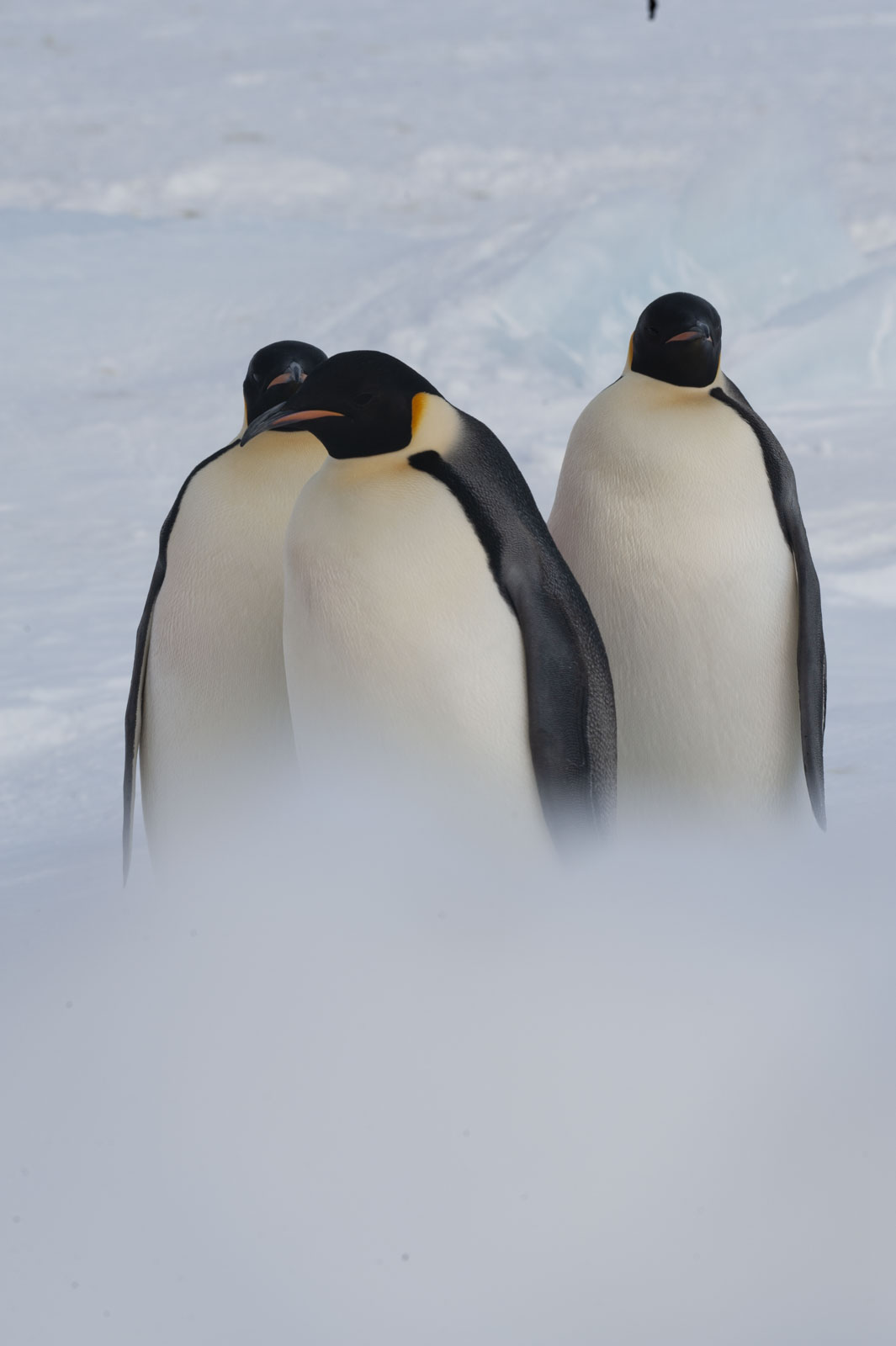 GYT 20221117 125443  DSC8094