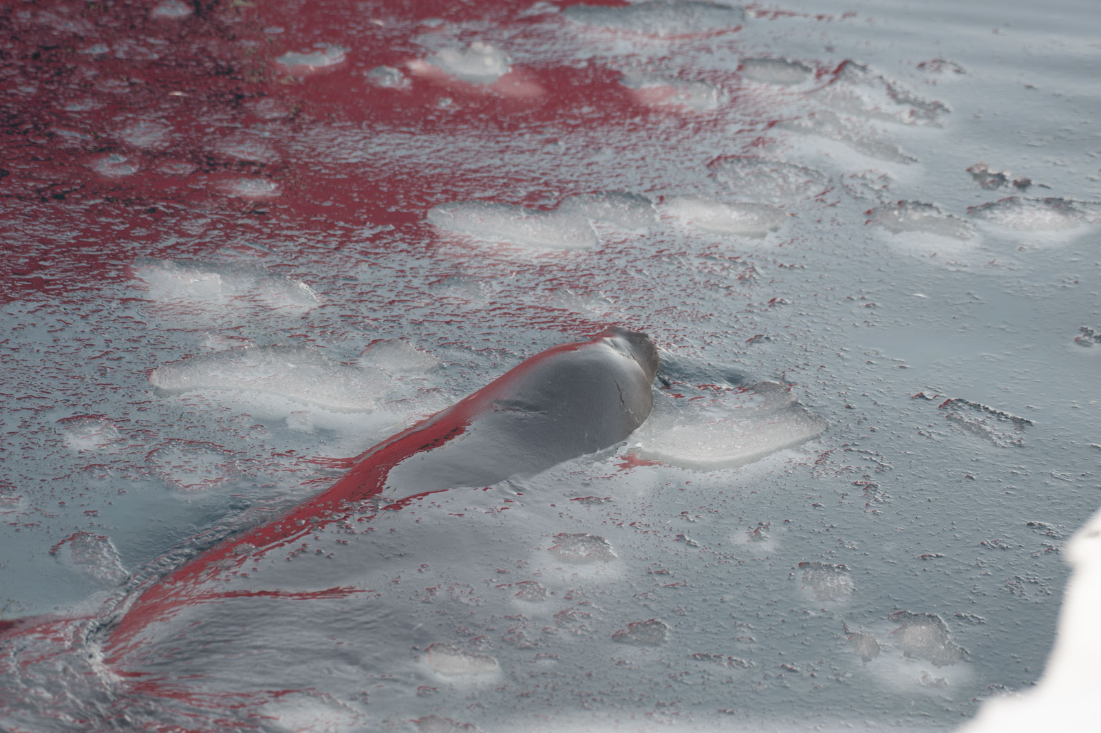 GYT 20221117 125514  DSC8095